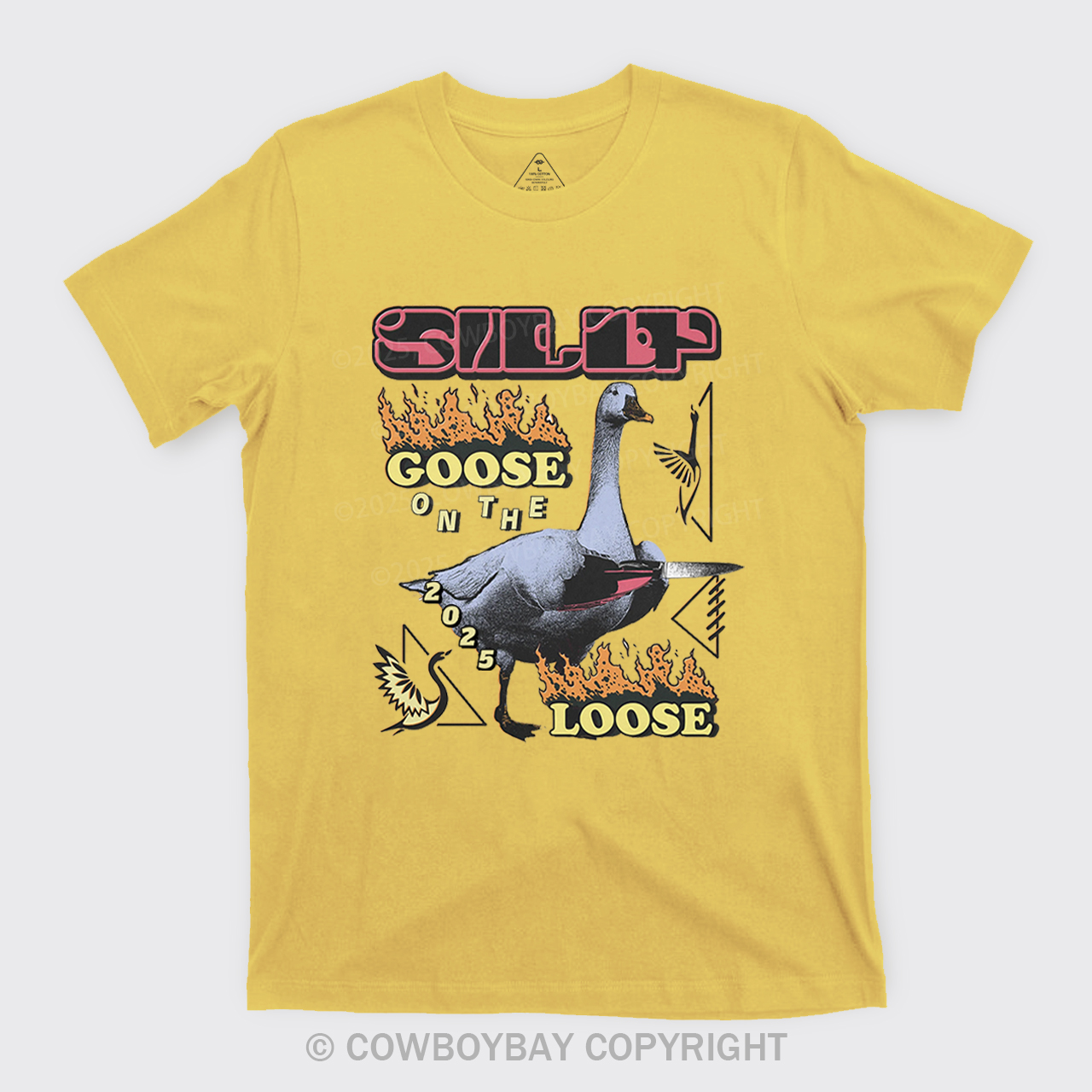 Silly Goose On The 2025 Loose T-Shirts