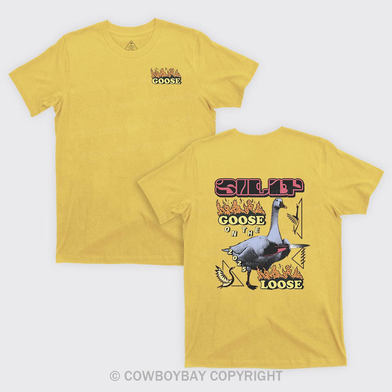 Silly Goose On The 2025 Loose T-Shirts