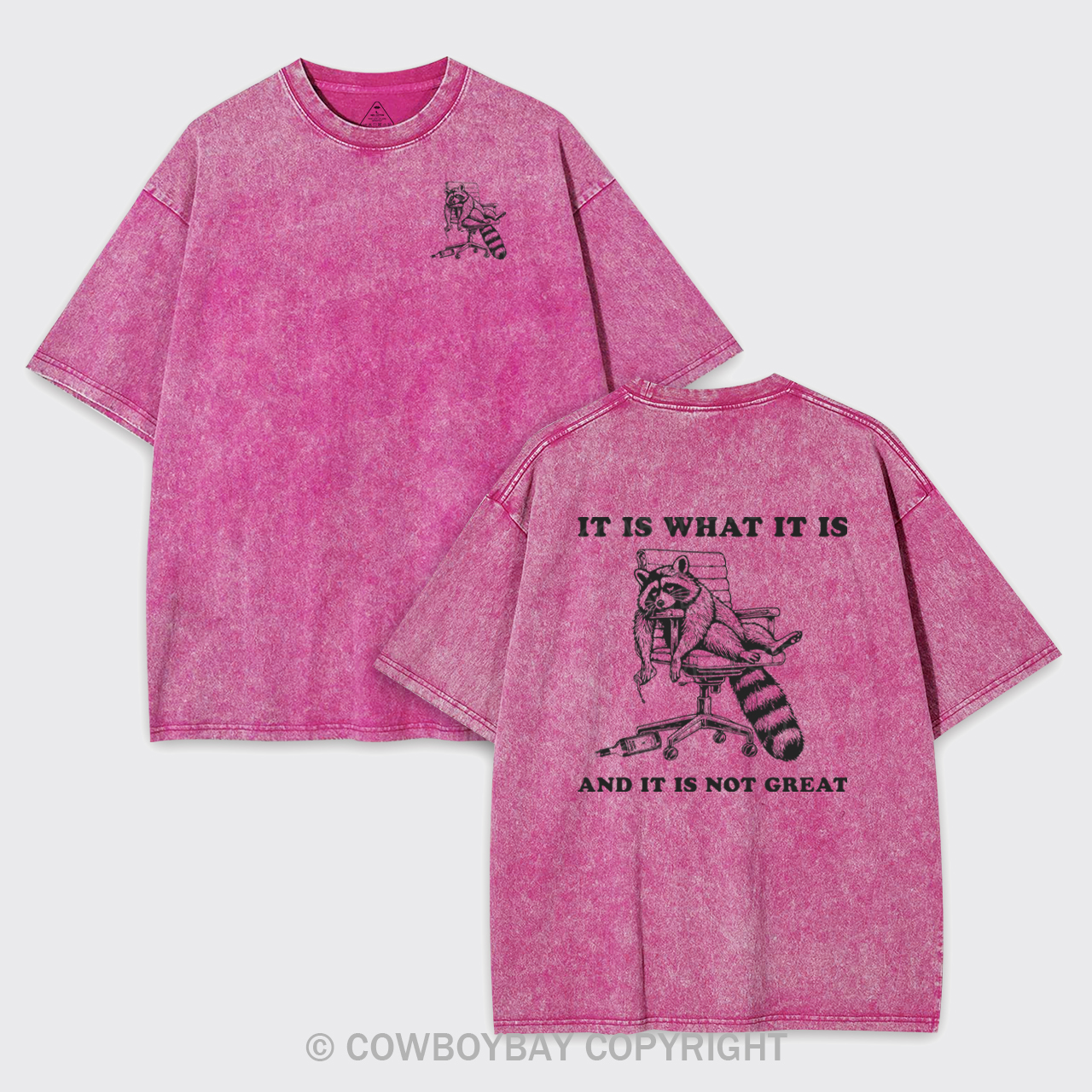 It Is What It Is And It Is Not Great Garment-dye Tees