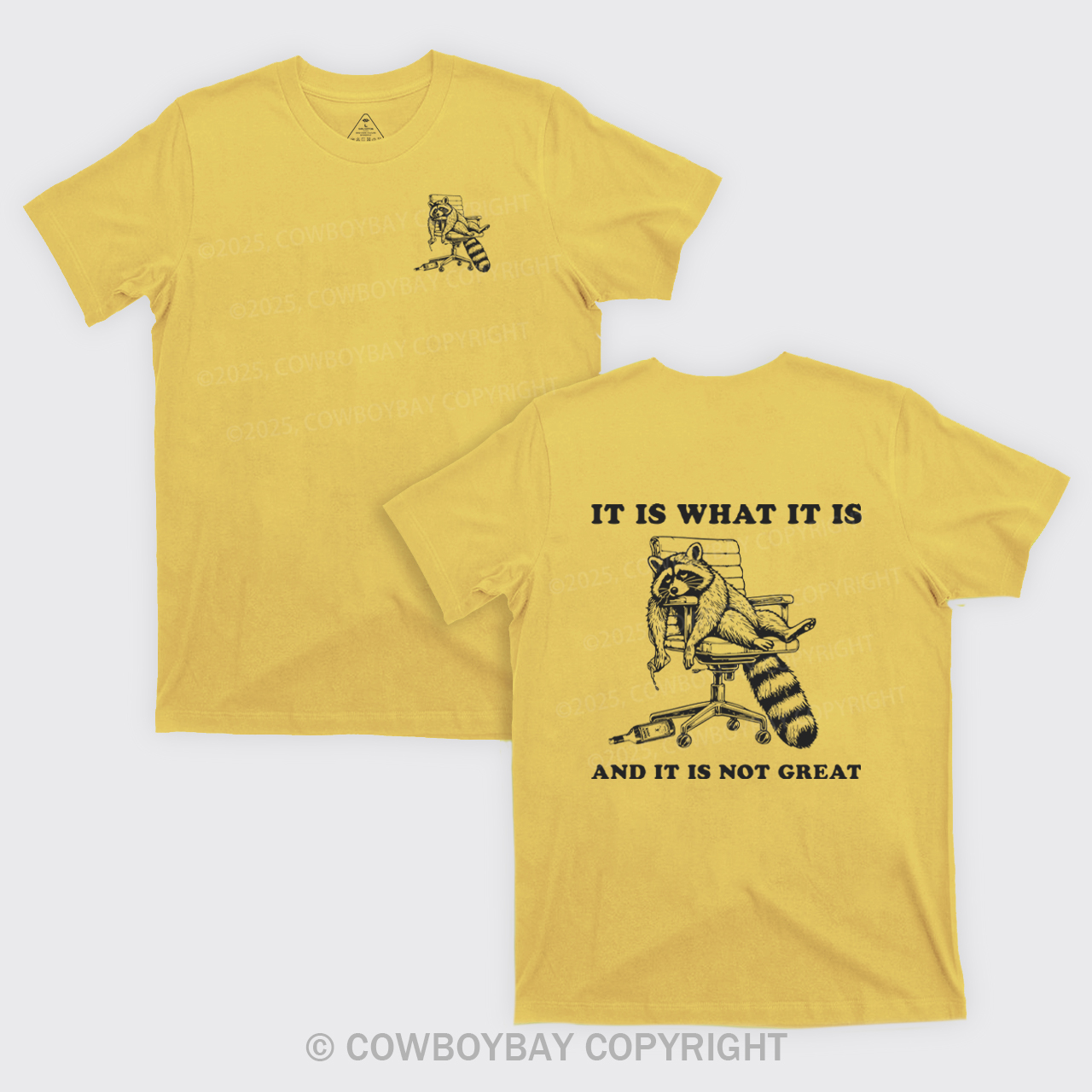 It Is What It Is And It Is Not Great T-Shirts