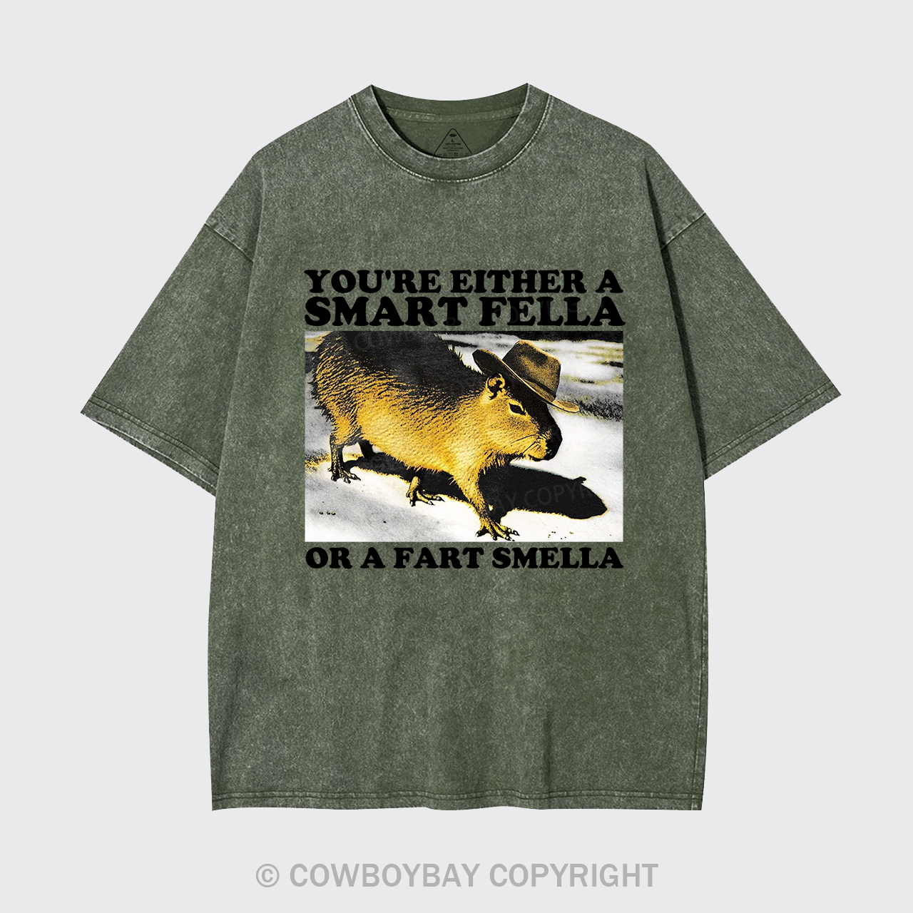 Retro Smart Fella Fart Smella Capybara 90s Garment-dye Tees