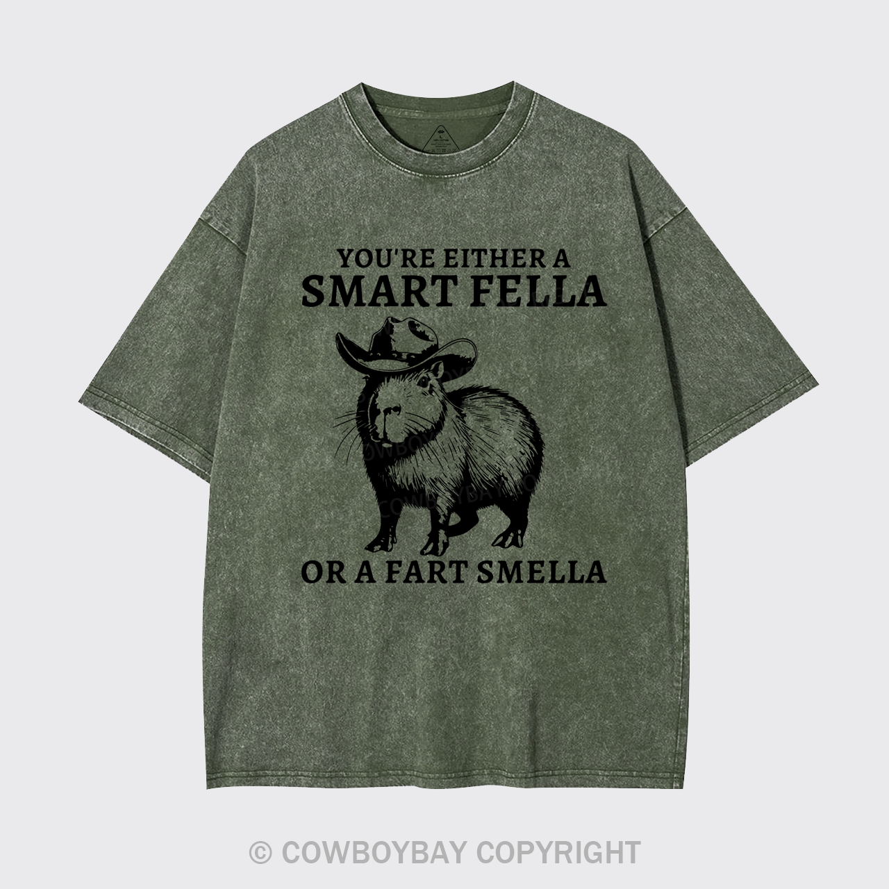 Retro Smart Fella Capybara 90s Garment-dye Tees
