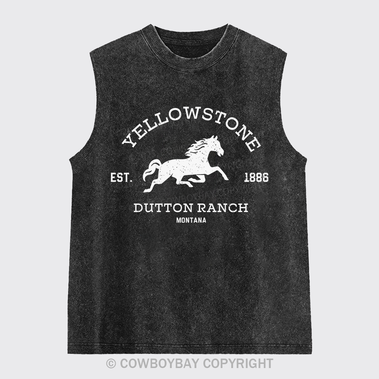 Yellowstone National Park Dutton Ranch Washed Tanks