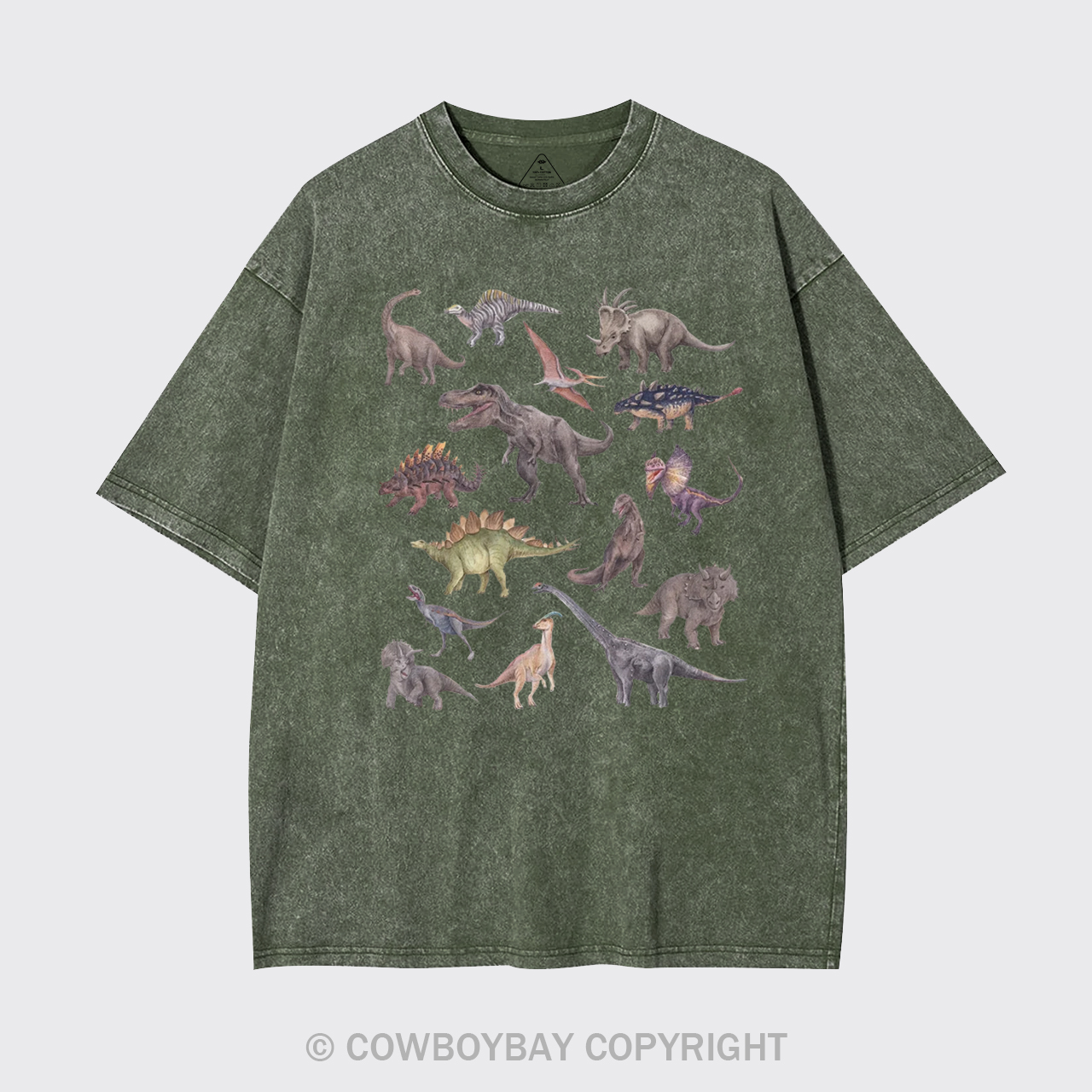 Dinosaur Garment-dye Tees