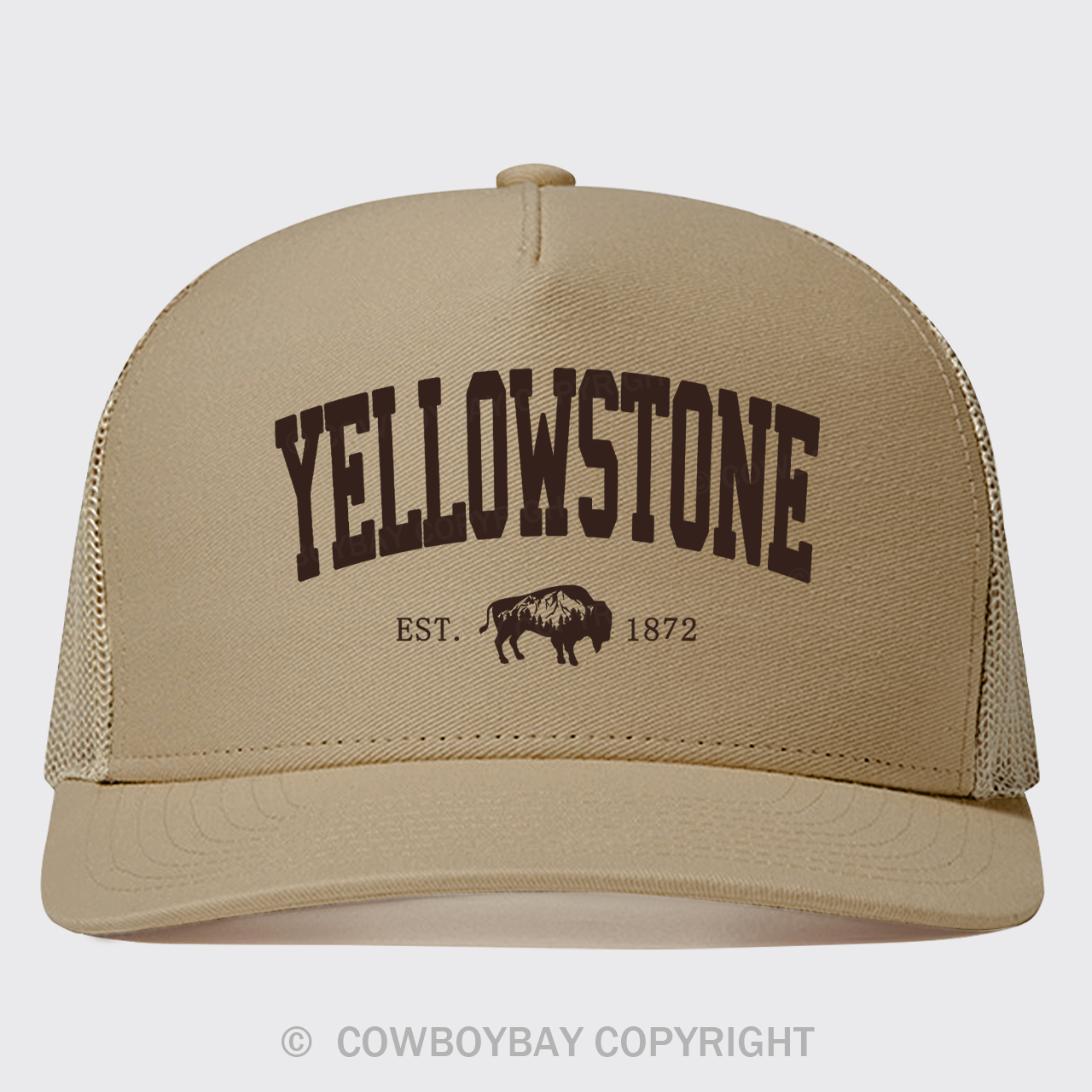 Vintage Yellowstone Trucker Hat