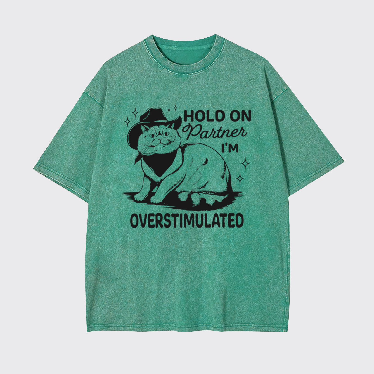 Funny Sarcastic Cat 90s Hold On Partner I'm Overstimulated Garment-dye Tees