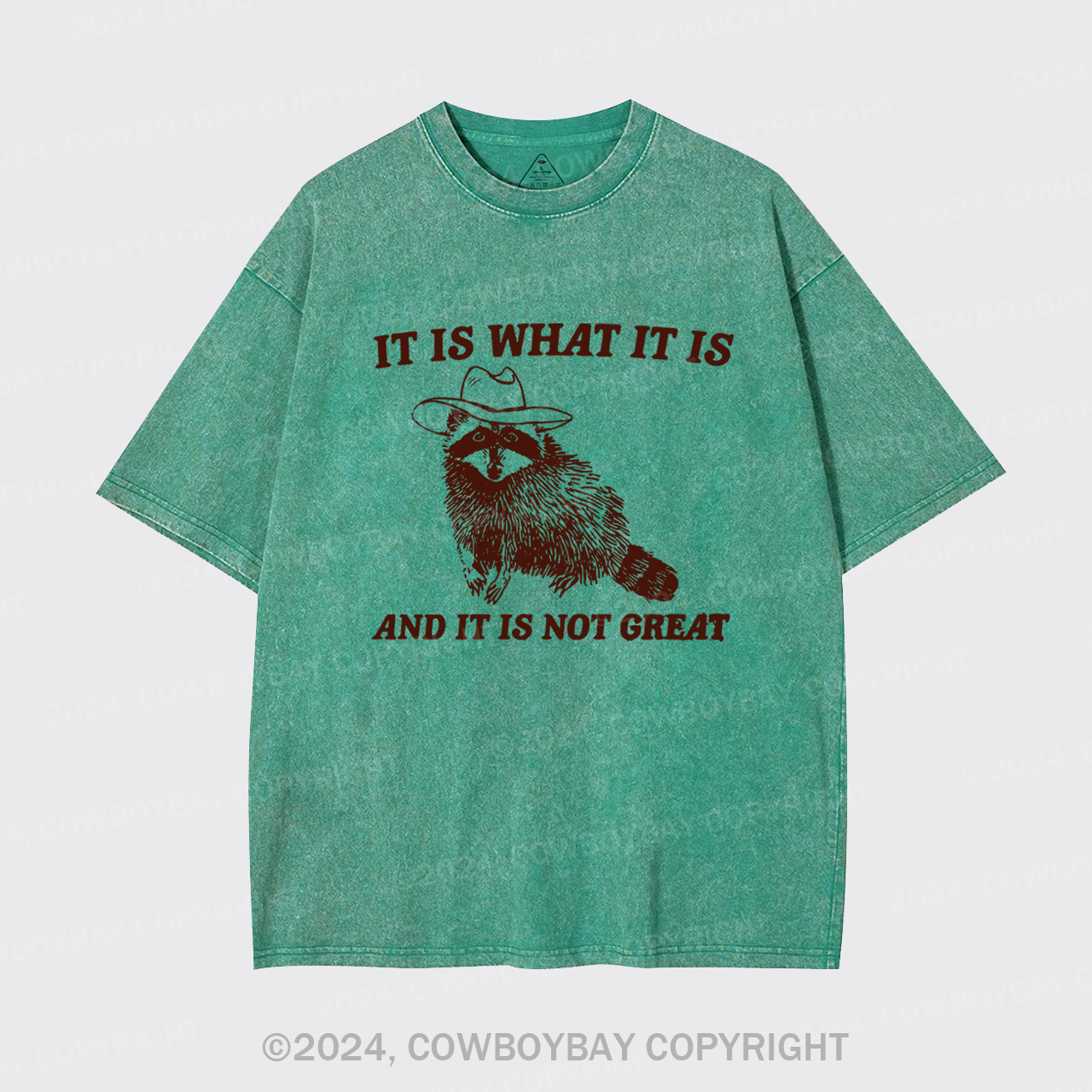 It Is What It Is And It Is Not Great Garment-dye Tees