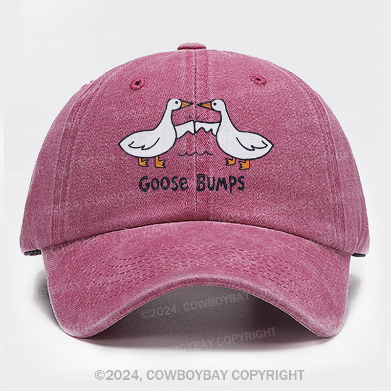 Goose Bump Embroidery Washed Hat
