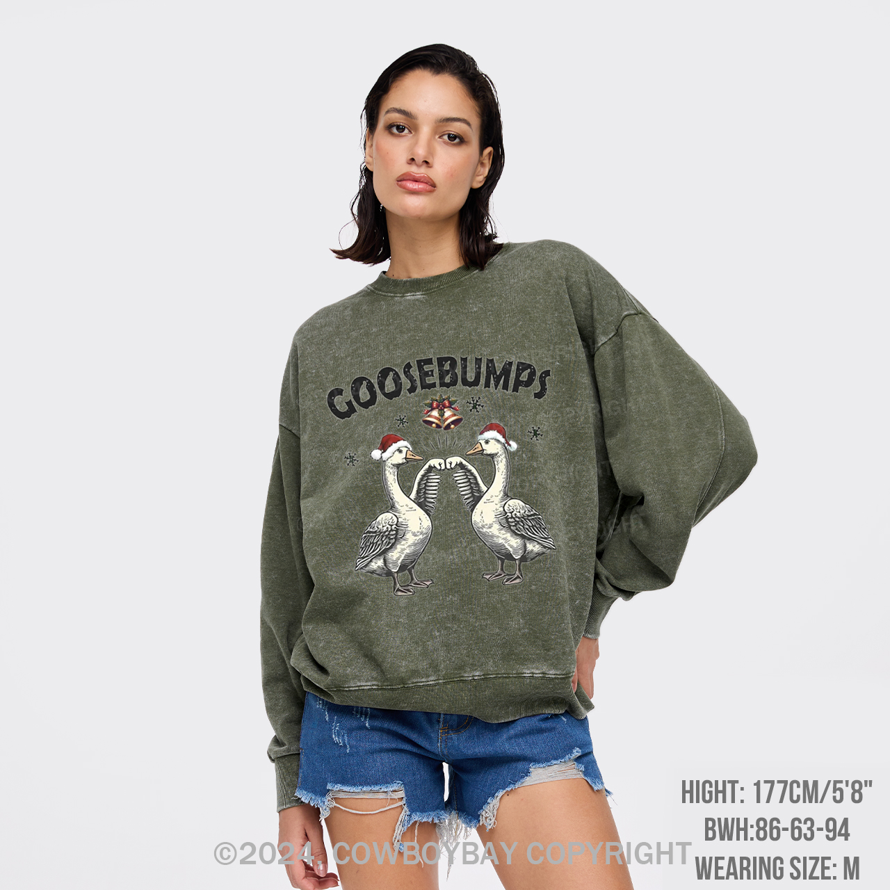 Goose Bumps For Christmas Washed Sweatshirts