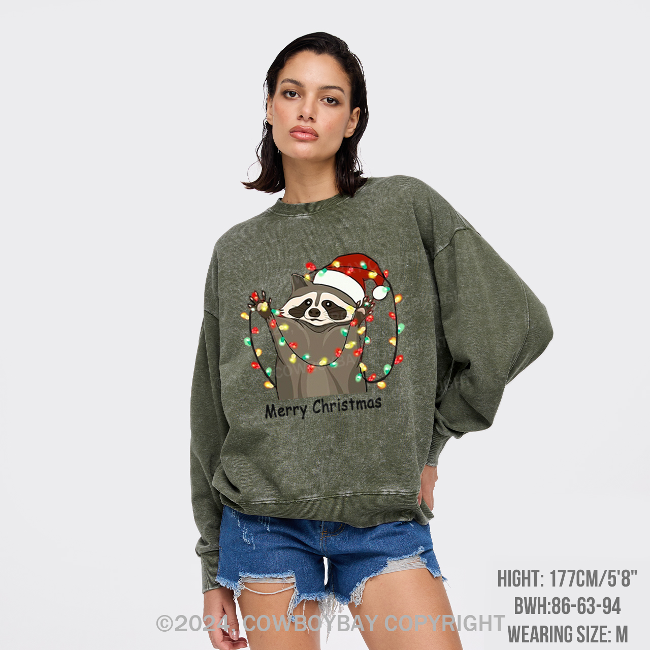 Christmas Racoon Washed Sweatshirts