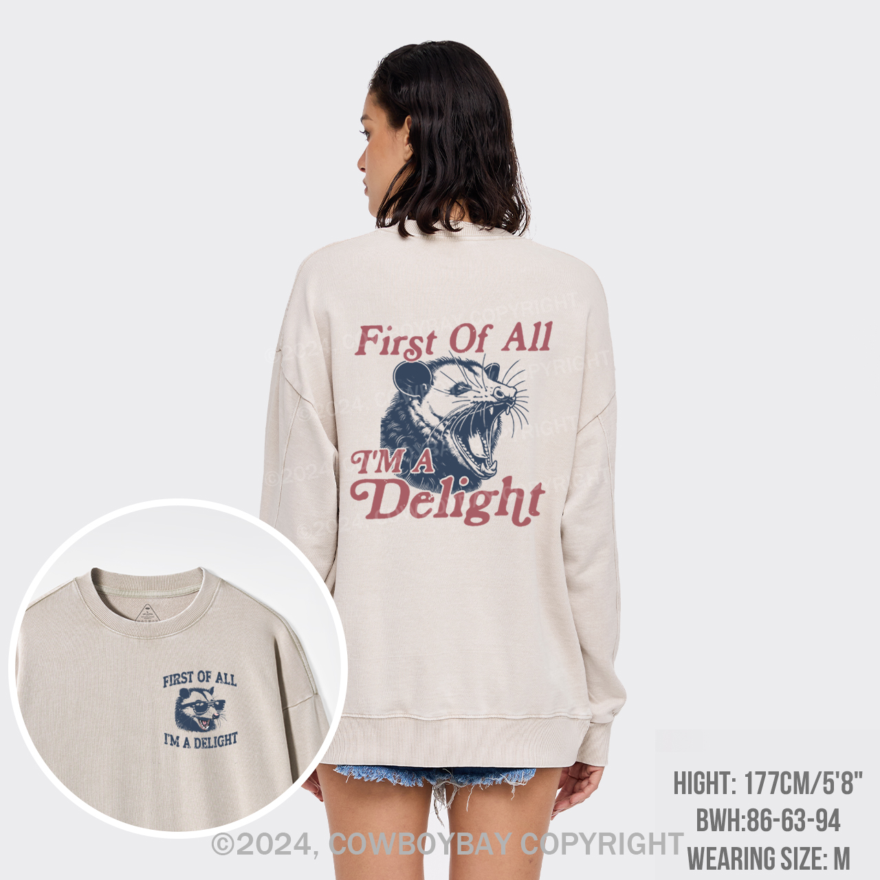 I'm A Delight Washed Sweatshirts