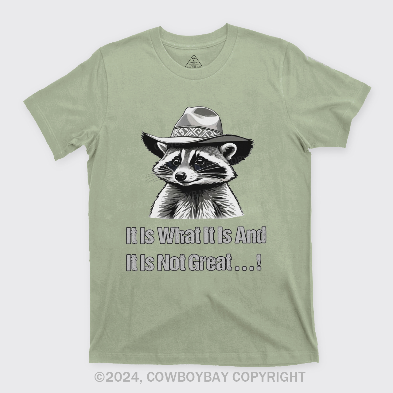 It Is What It Is And It Is Not Great T-Shirts