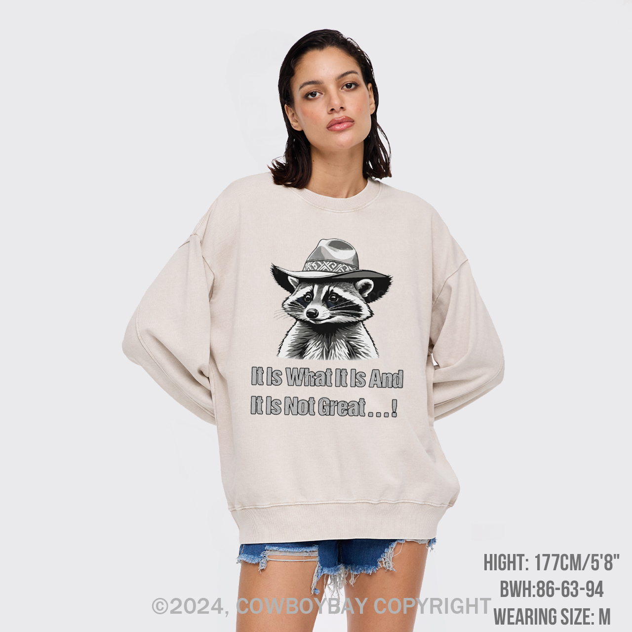 It Is What It Is And It Is Not Great Washed Sweatshirts