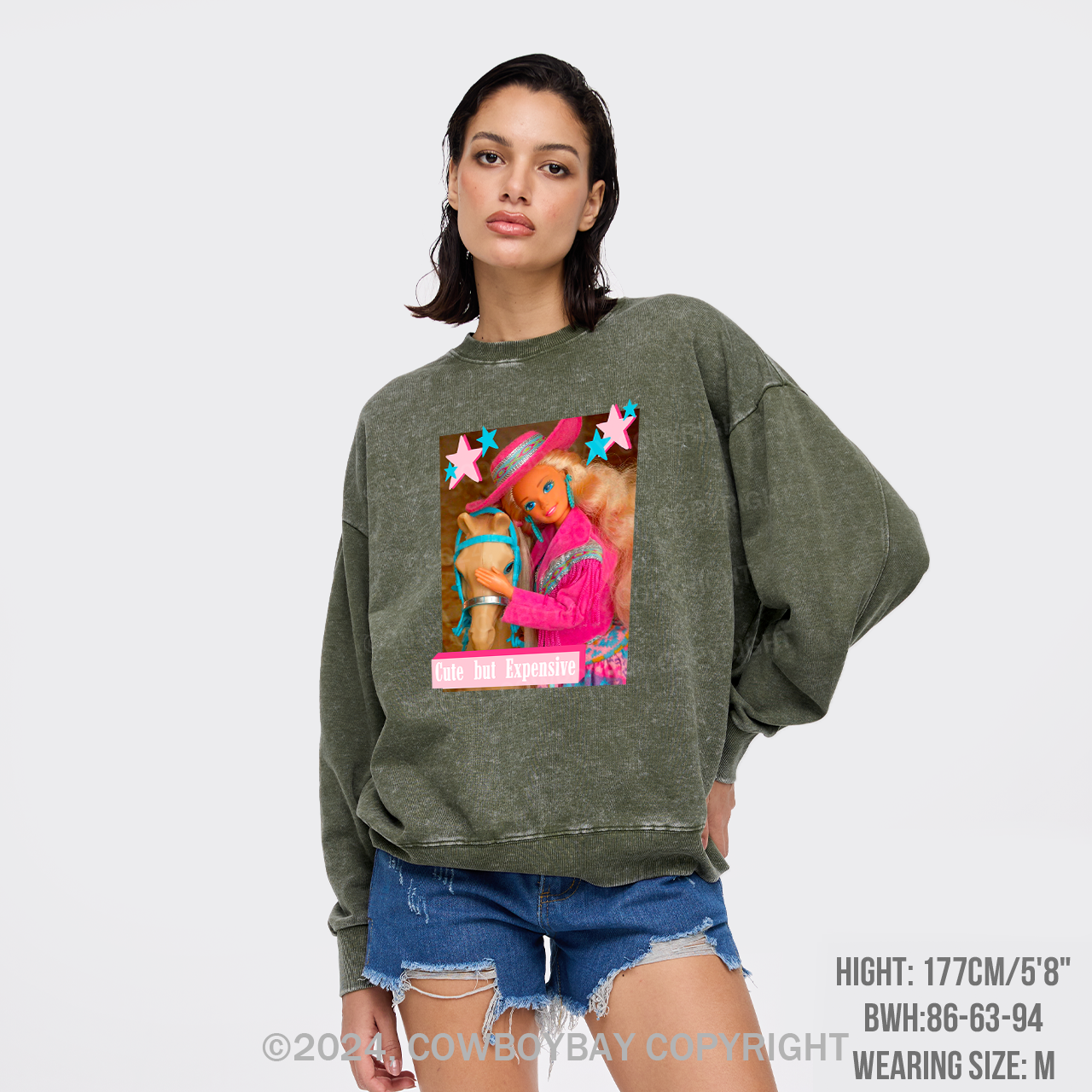 Cute But Expensive Retro Cowboy Washed Sweatshirts