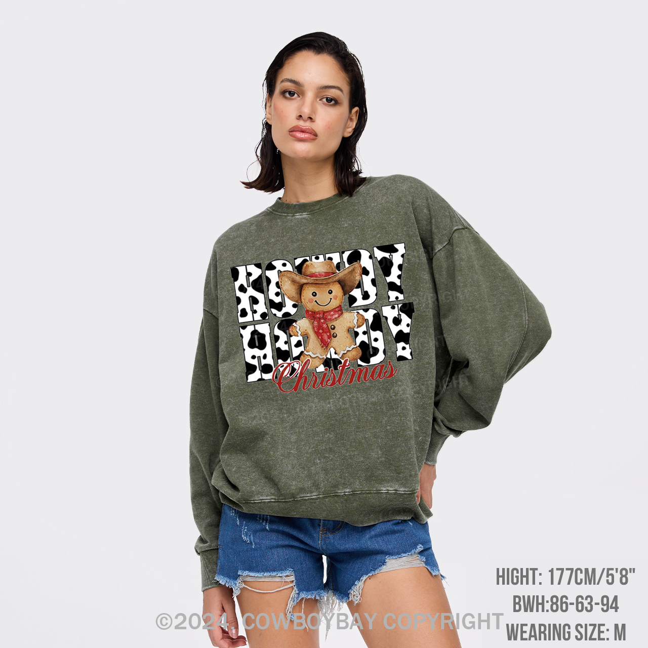 Retro Christmas Season Washed Sweatshirts
