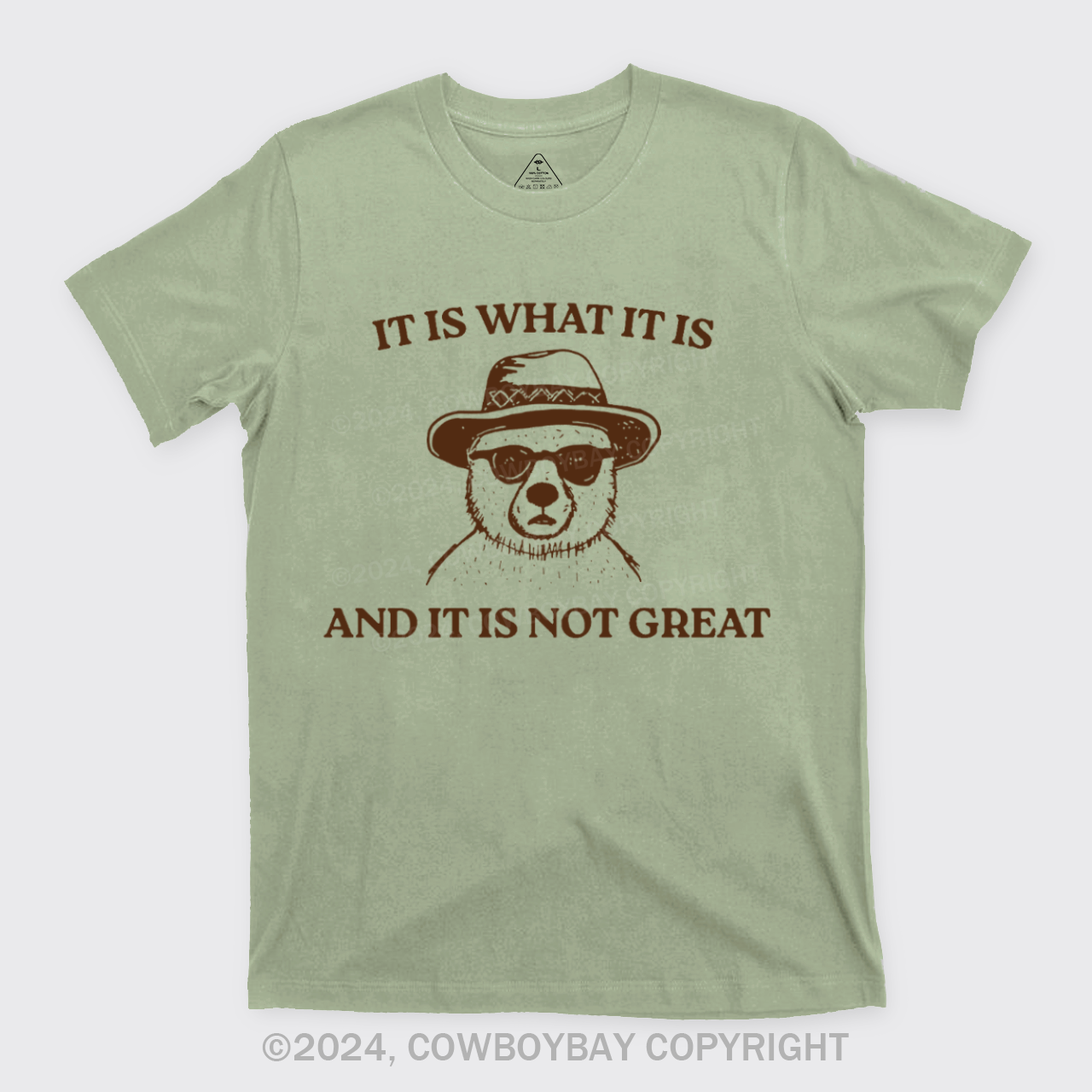 It Is What It Is And It Is Not Great T-Shirts