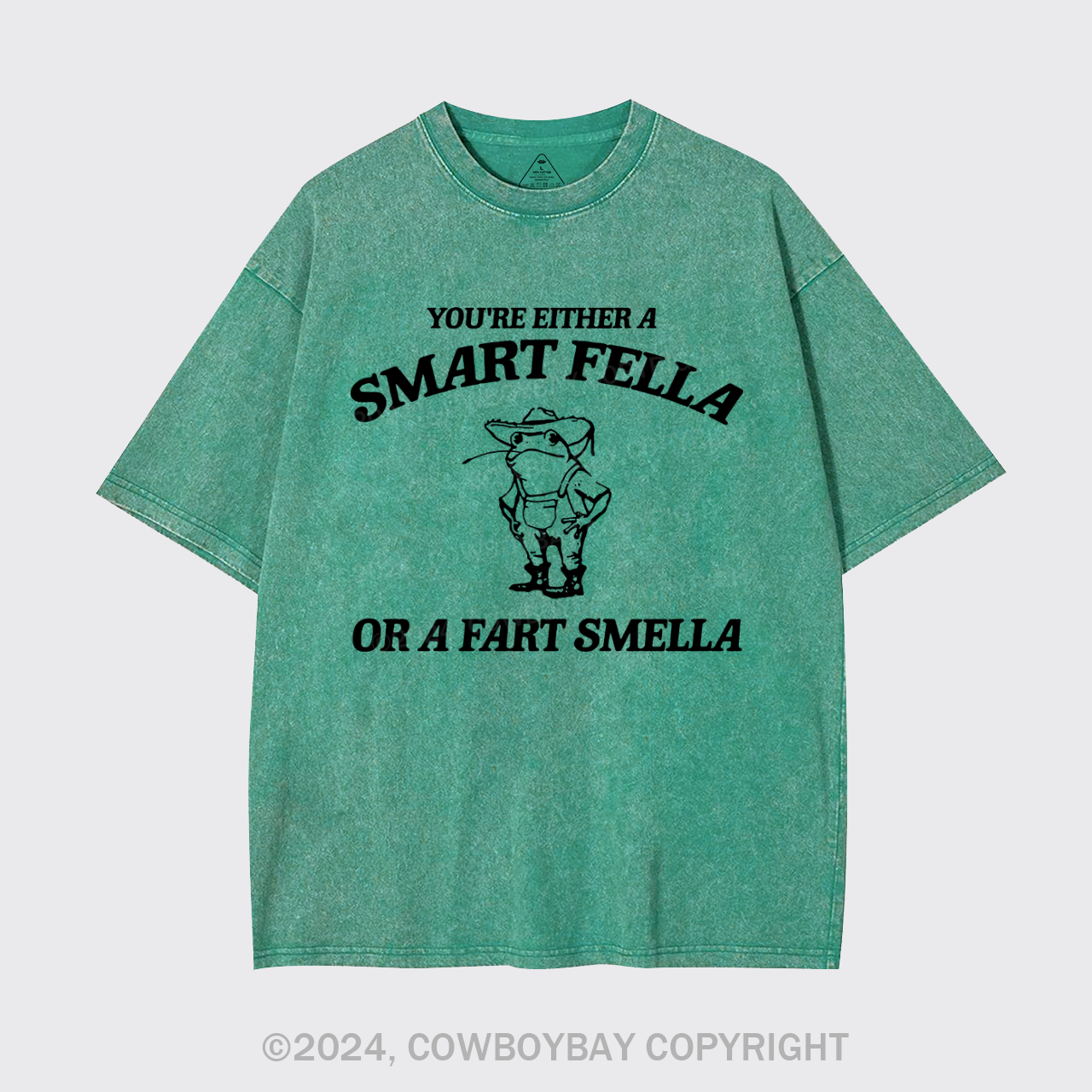 Are You A Smart Fella Or Fart Smella Garment-dye Tees