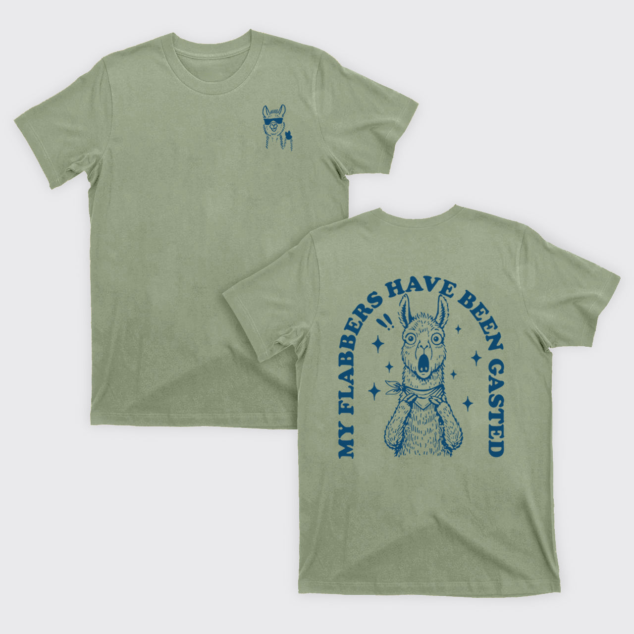 Snarky Sayings-My Flabbers Have Been Gasted T-Shirts