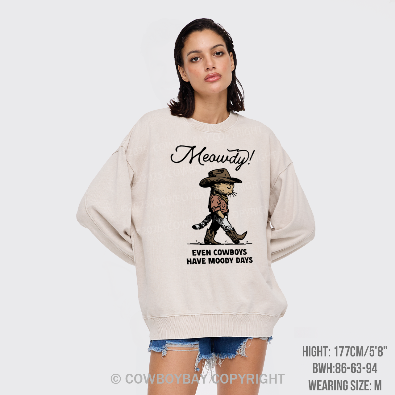 Sad Cat Cowboy Washed Sweatshirts