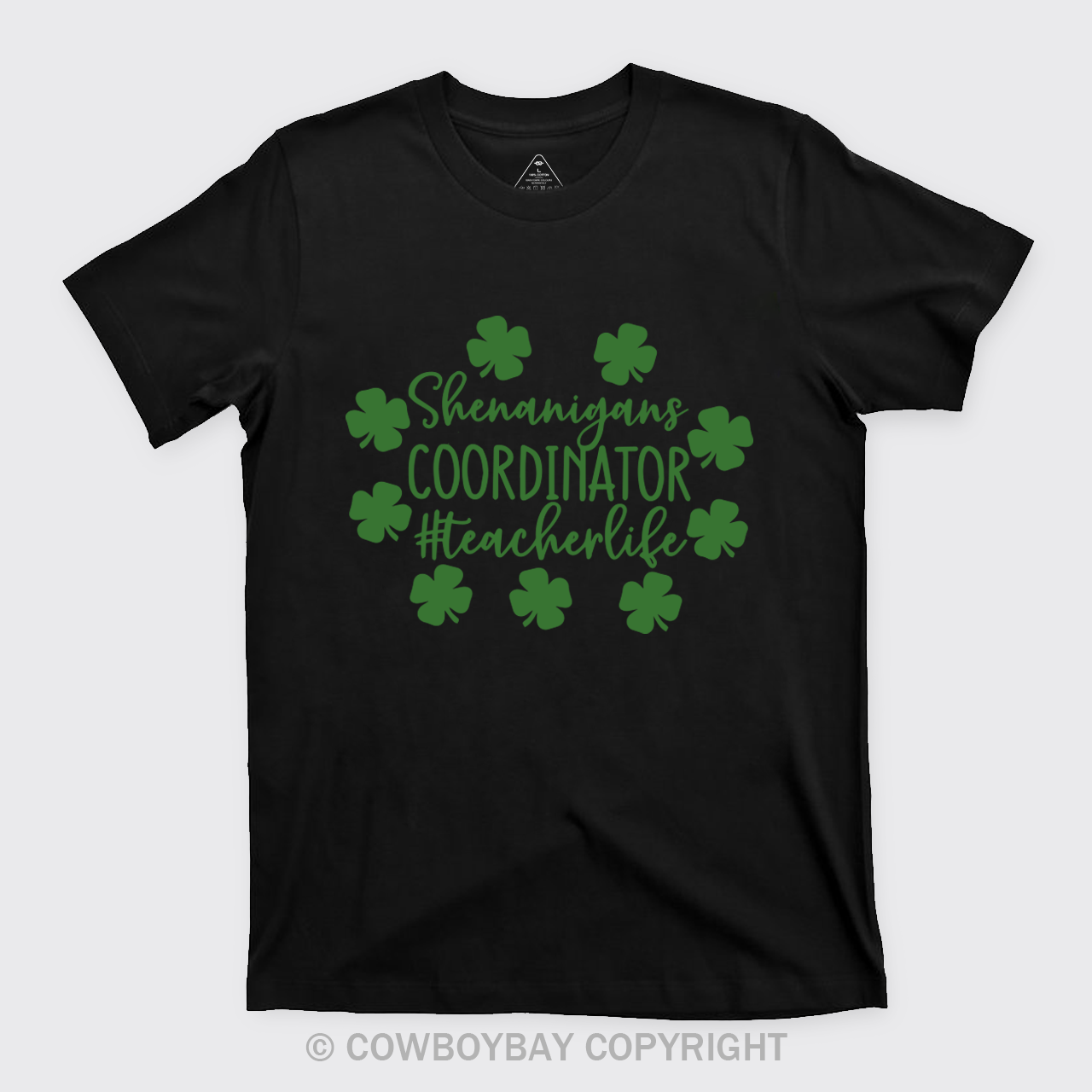 Shenanigans Coordinator Teacherlife T-Shirts