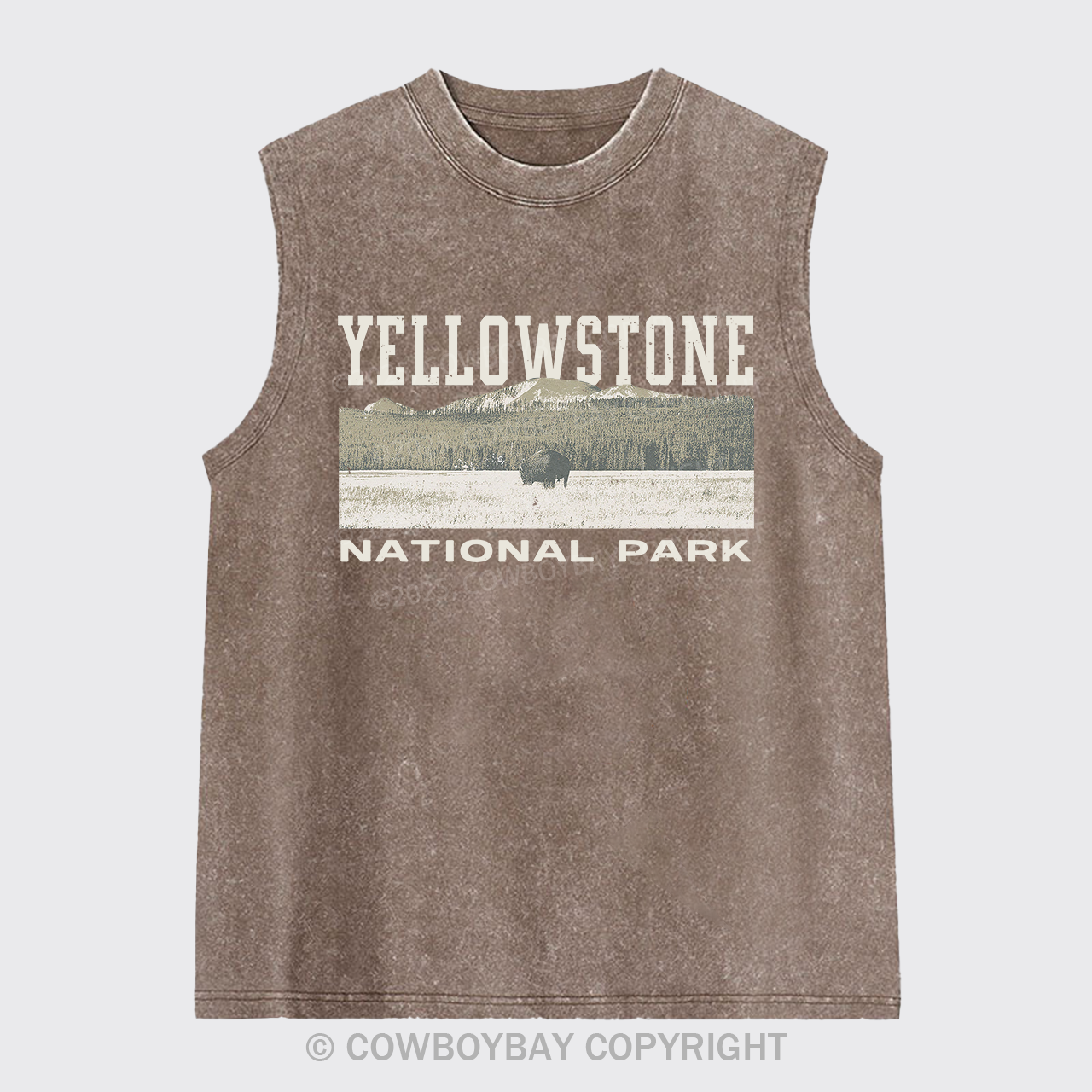 Buffalo Sunset Washed Tanks