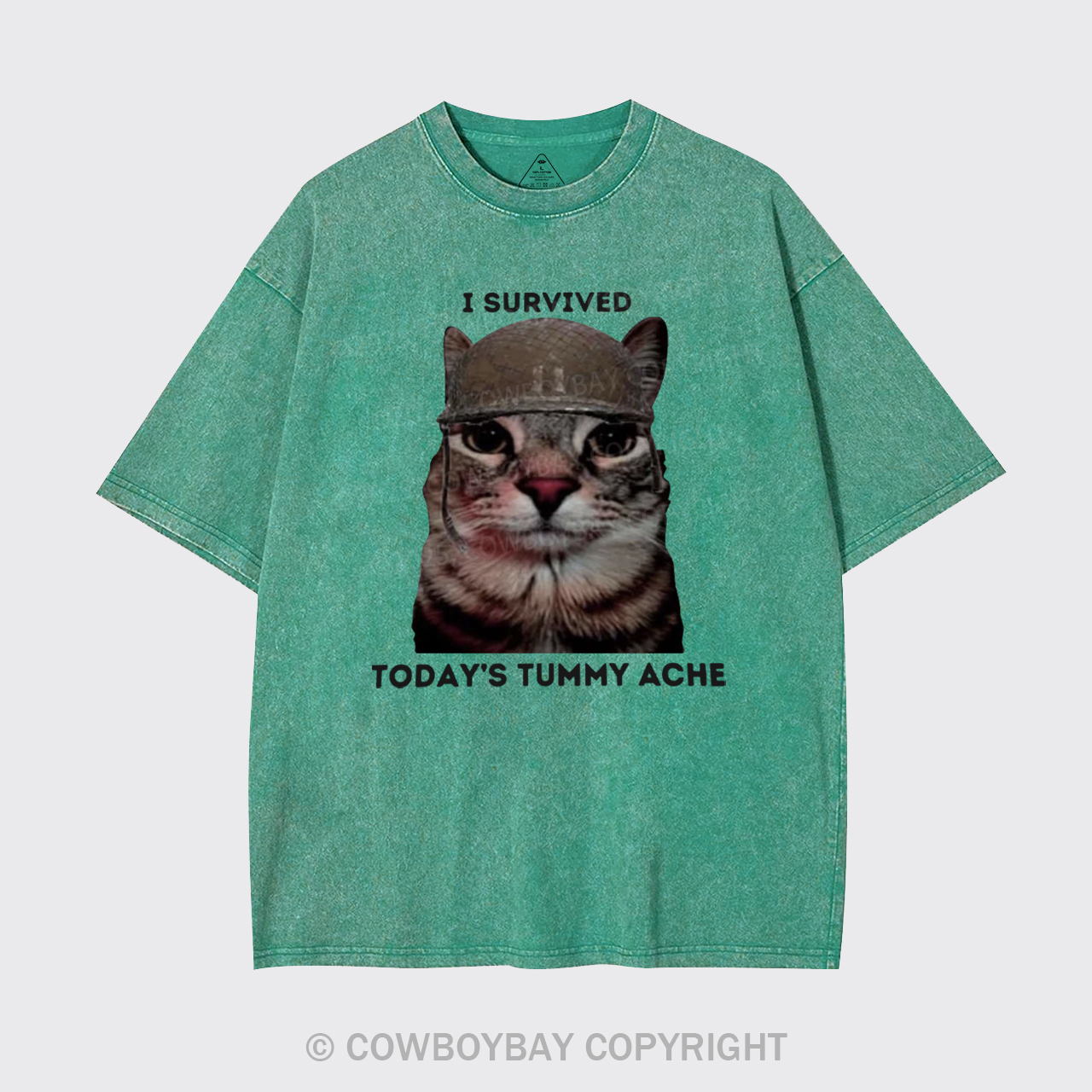 I Surived Today's Tummy Ache Garment-dye Tees