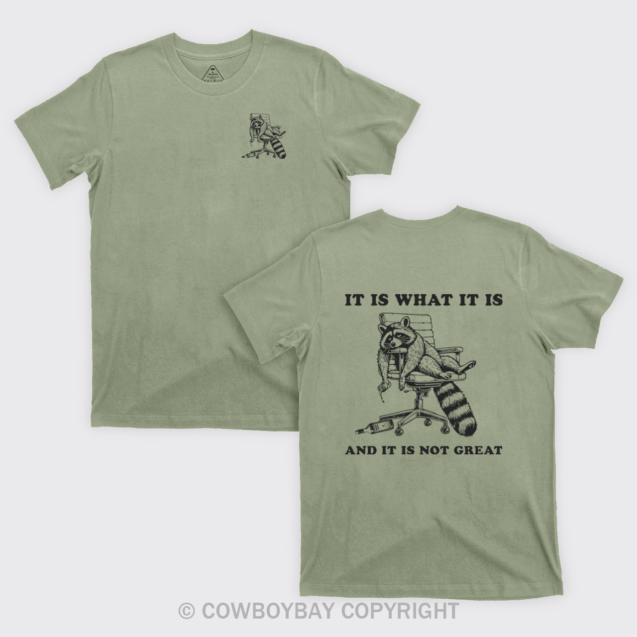 It Is What It Is And It Is Not Great T-Shirts