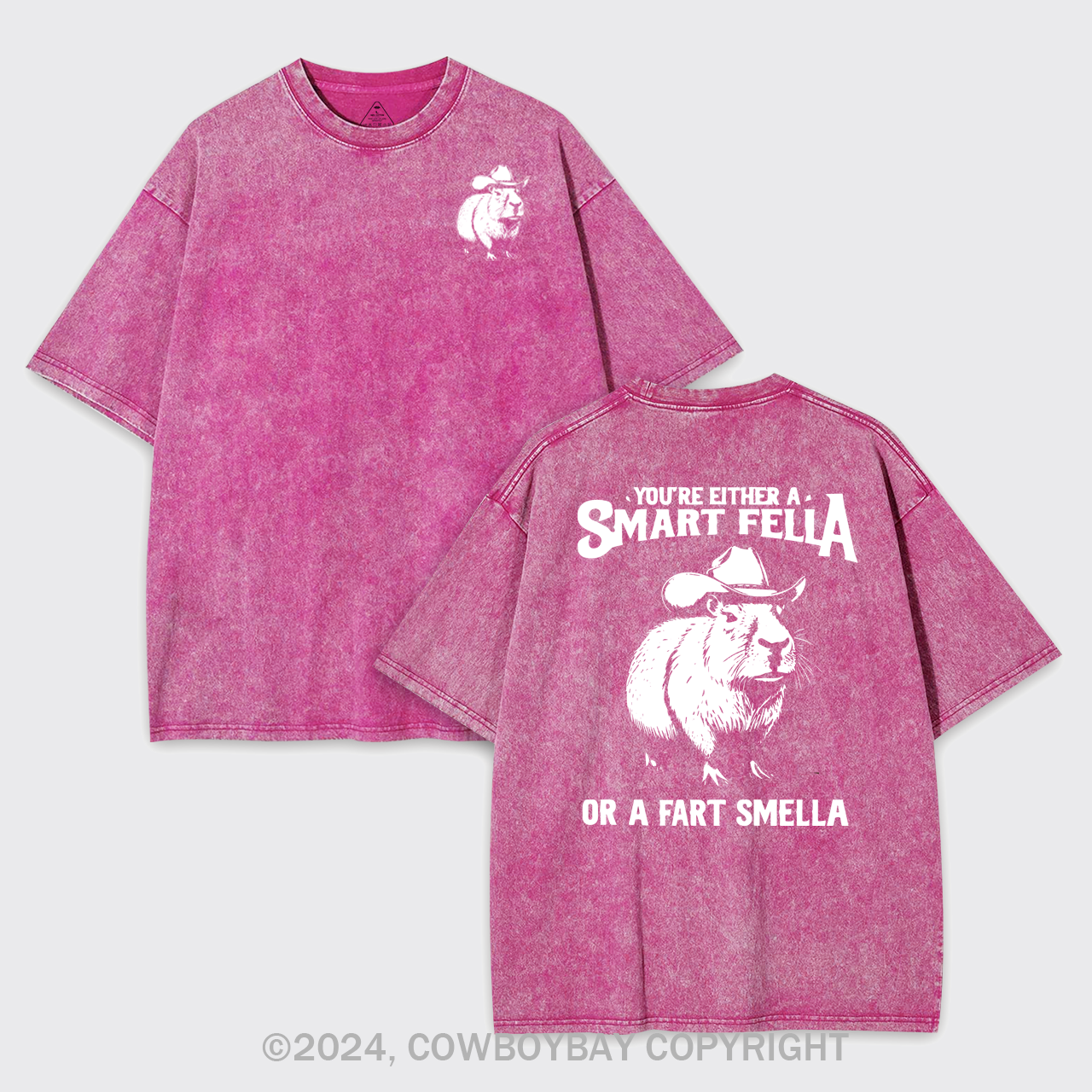 Retro Smart Fella Capybara 90s Garment-dye Tees