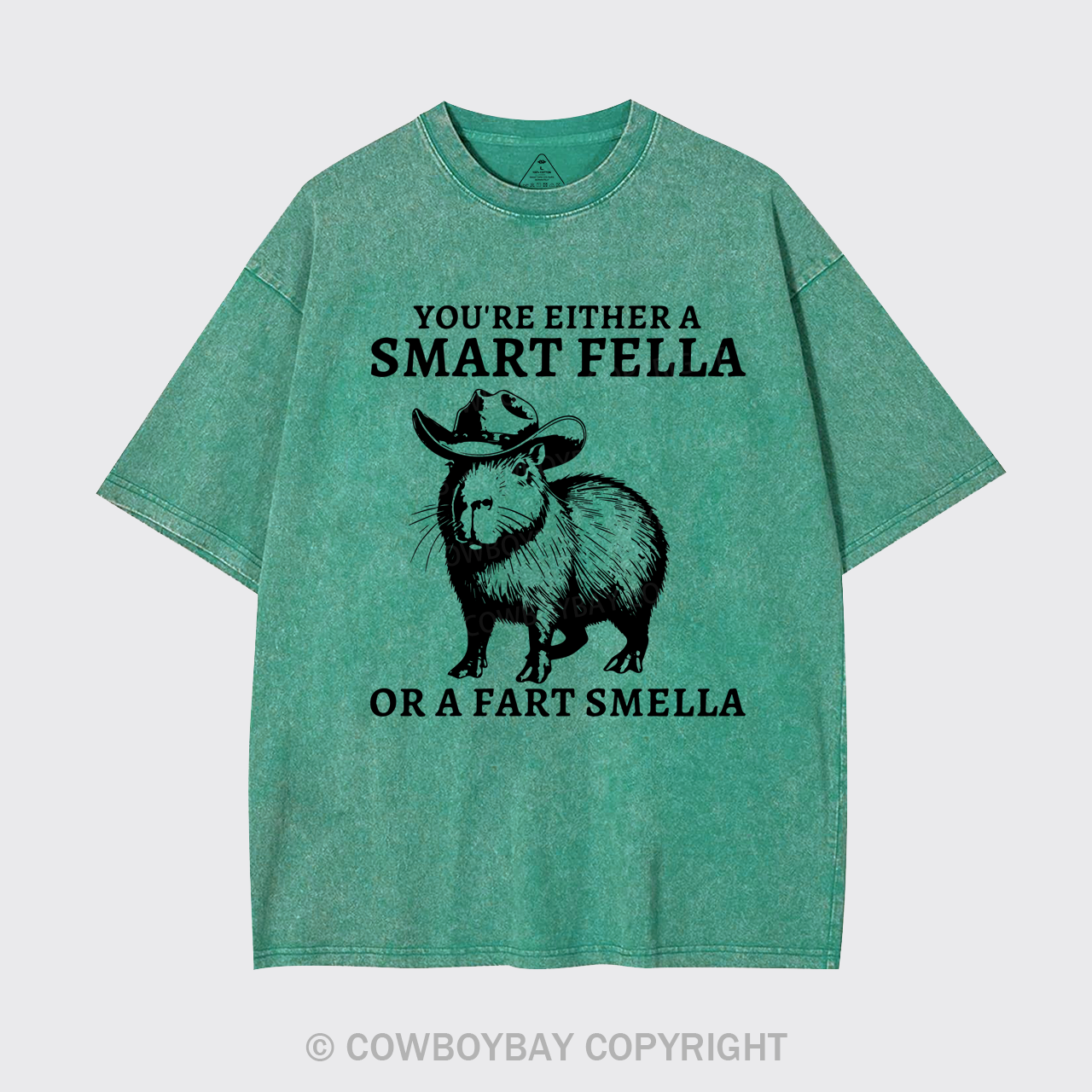 Retro Smart Fella Capybara 90s Garment-dye Tees