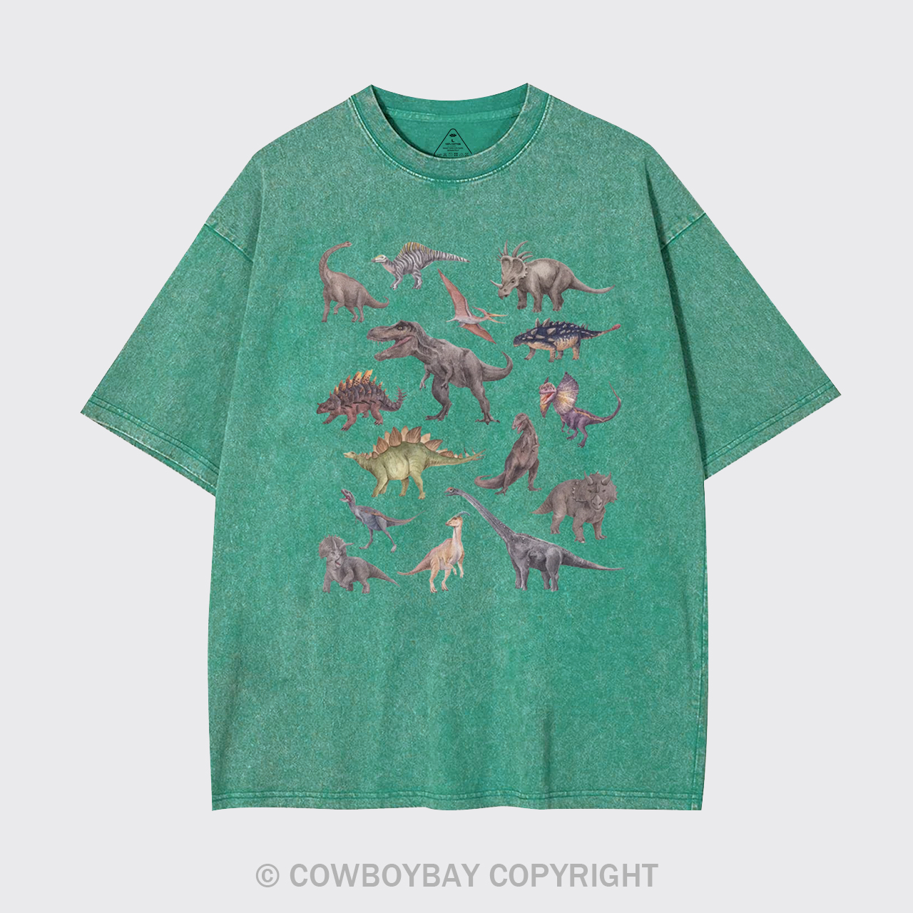 Dinosaur Garment-dye Tees