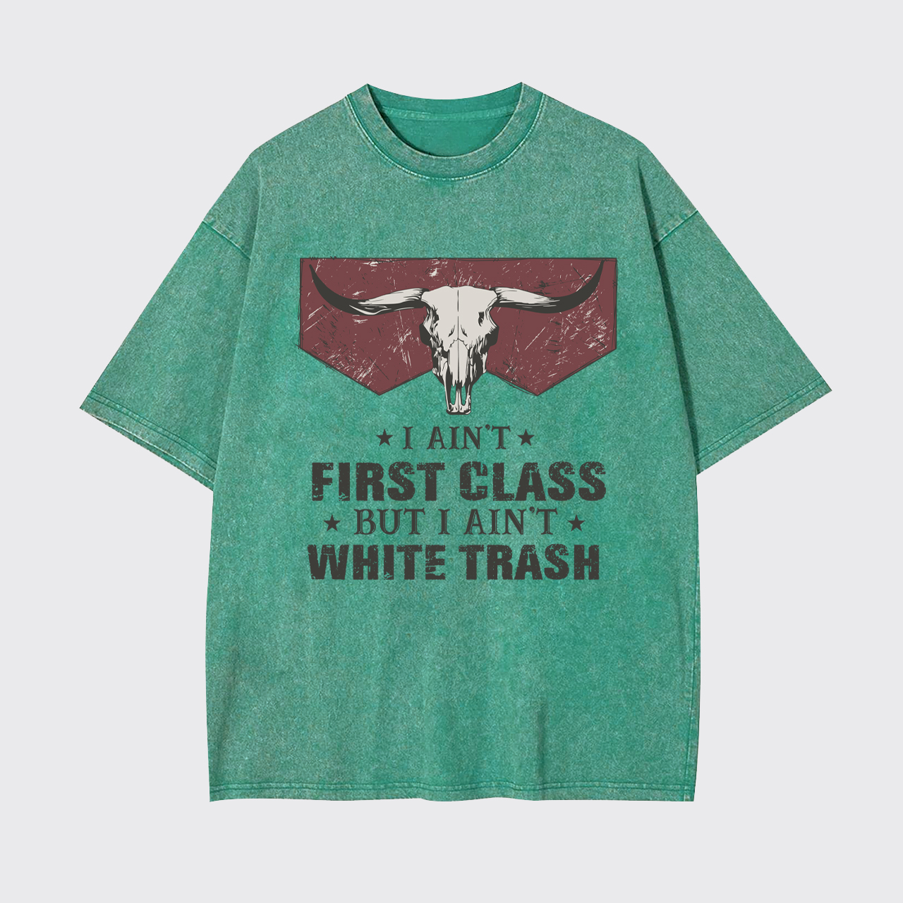 Ain't First Class Garment-dye Tees