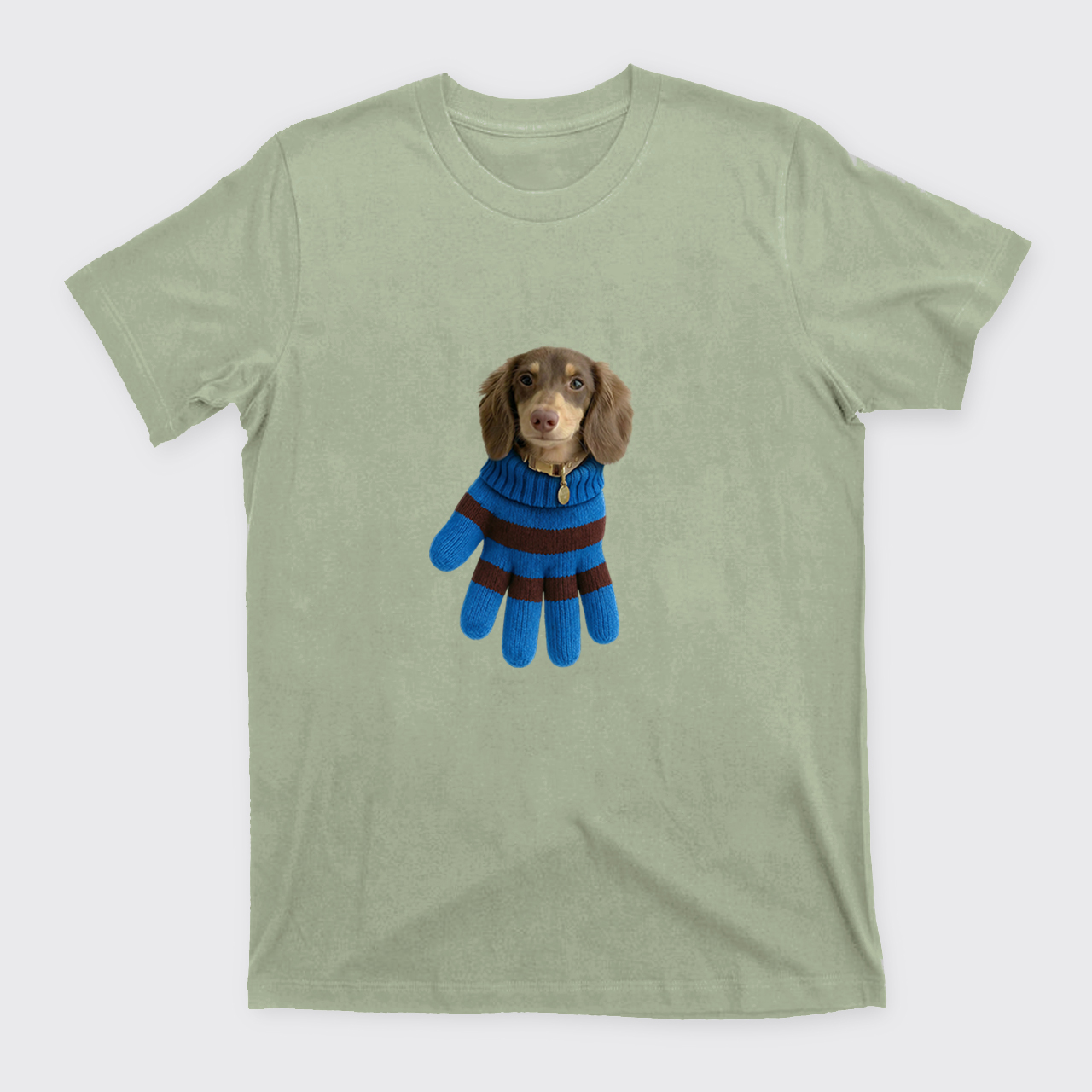 Personalized Pet in a Glove T-Shirts