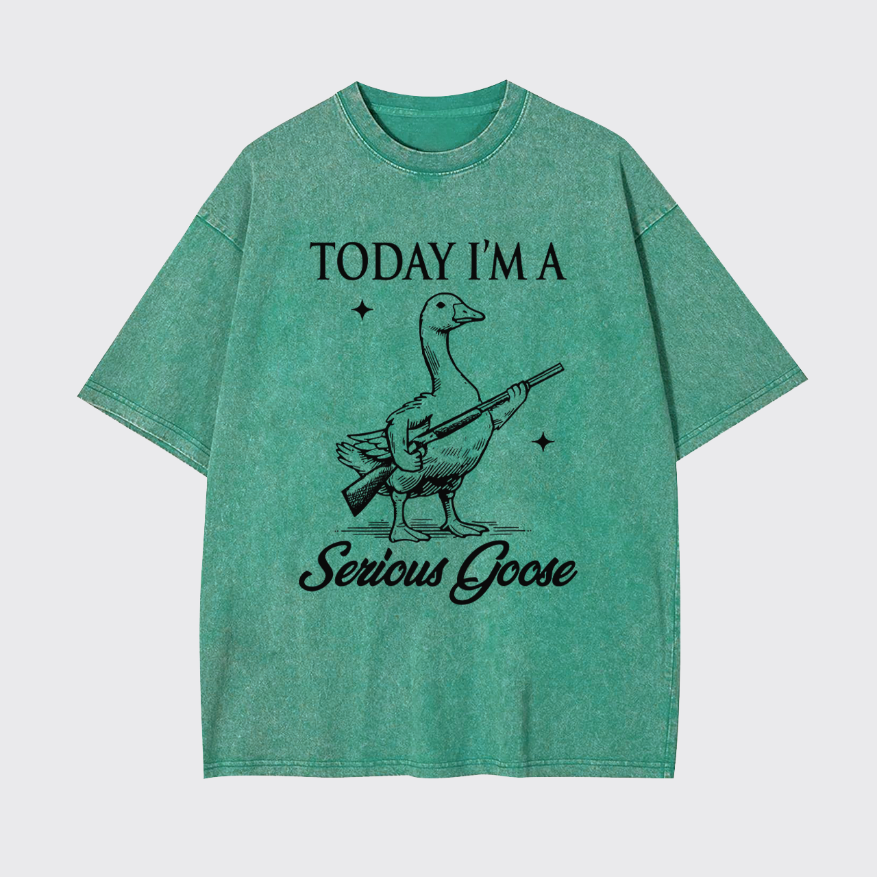 Today I'm Serious Goose Garment-dye Tees