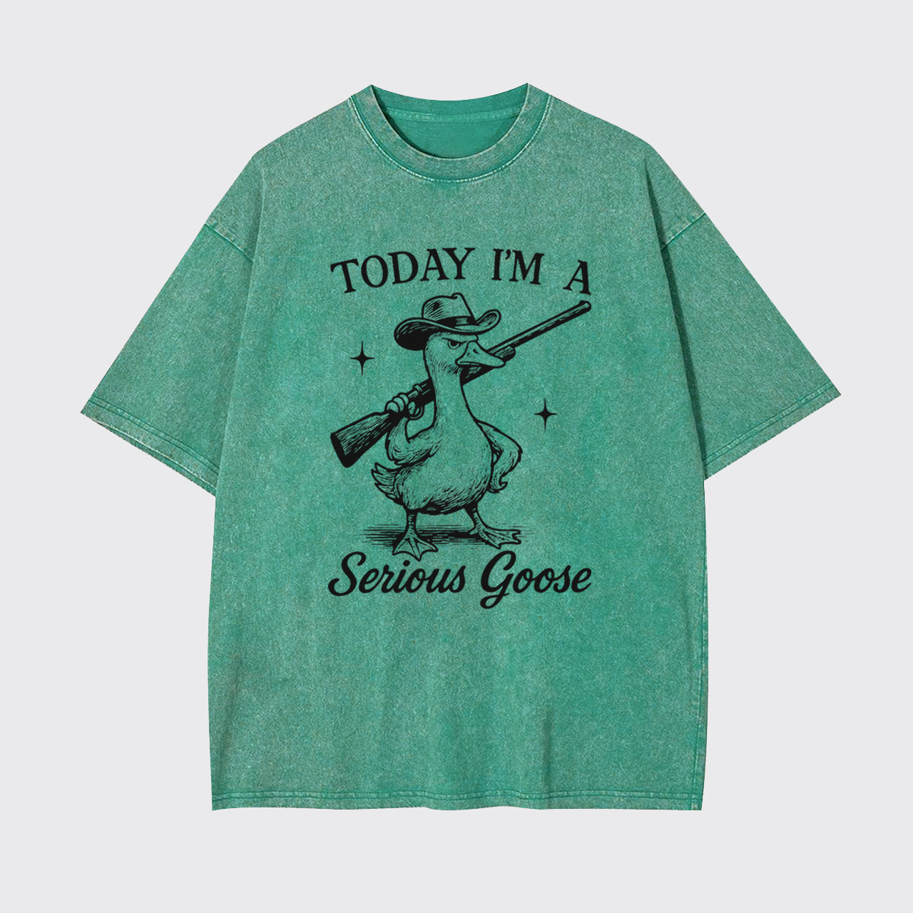 Retro Silly Goose-Today I'm A Serious Goose Garment-dye Tees