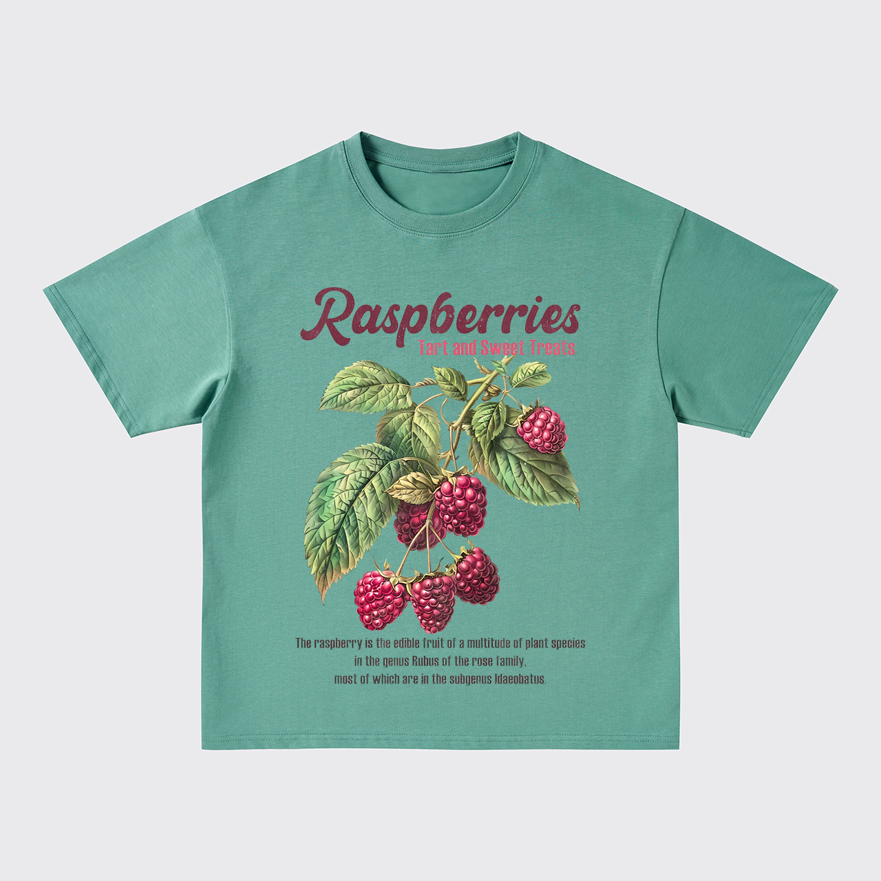 Retro Style-Fresh Raspberries Oversize T-Shirts