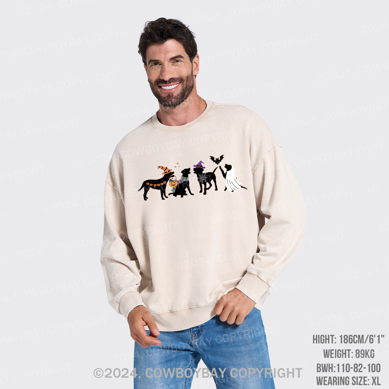 Halloween Dog Washed Sweatshirts