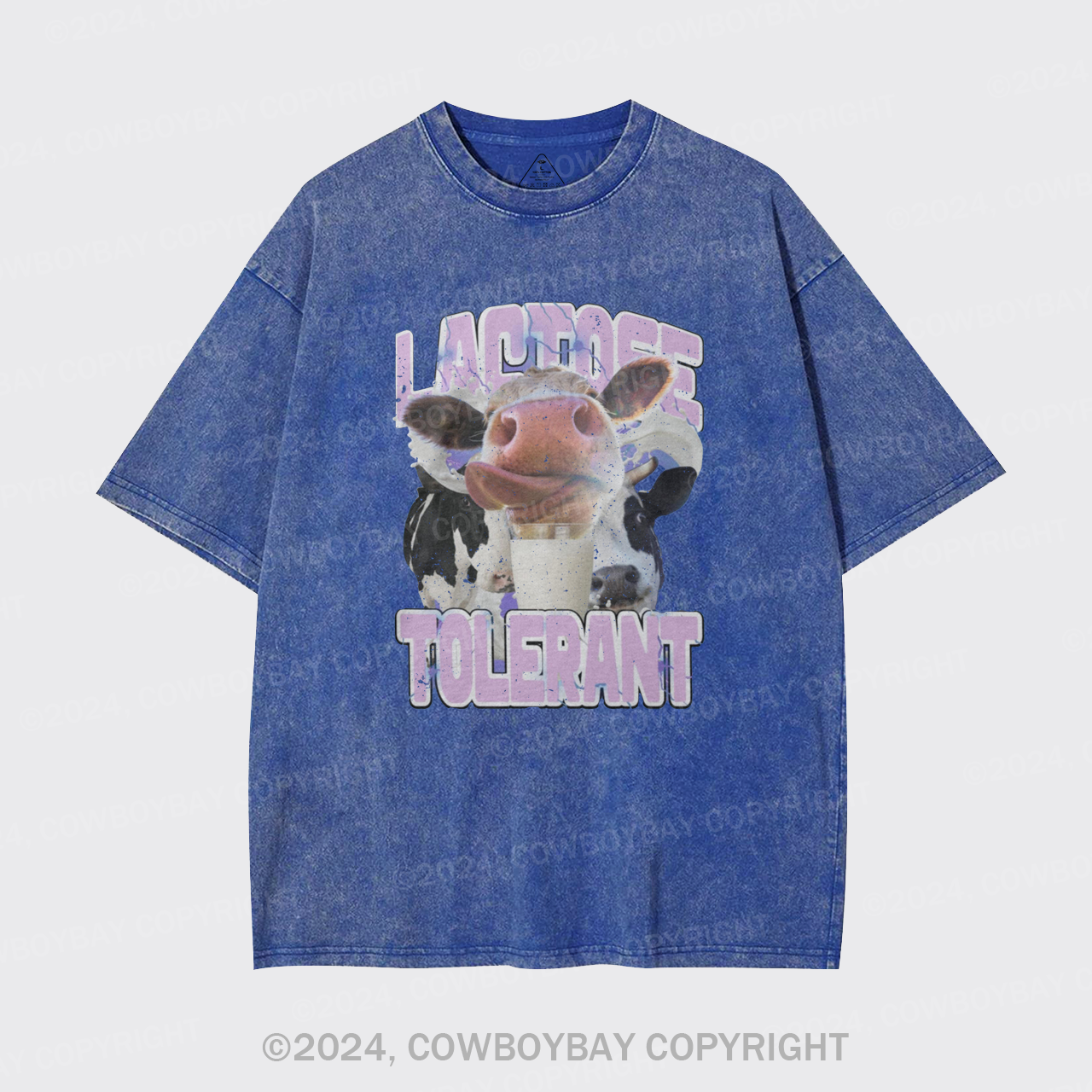 Lactose Tolerant Vintage Garment-dye Tees