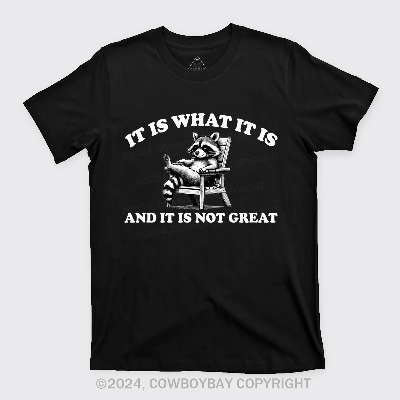 It Is What It Is And It Is Not Great T-Shirts