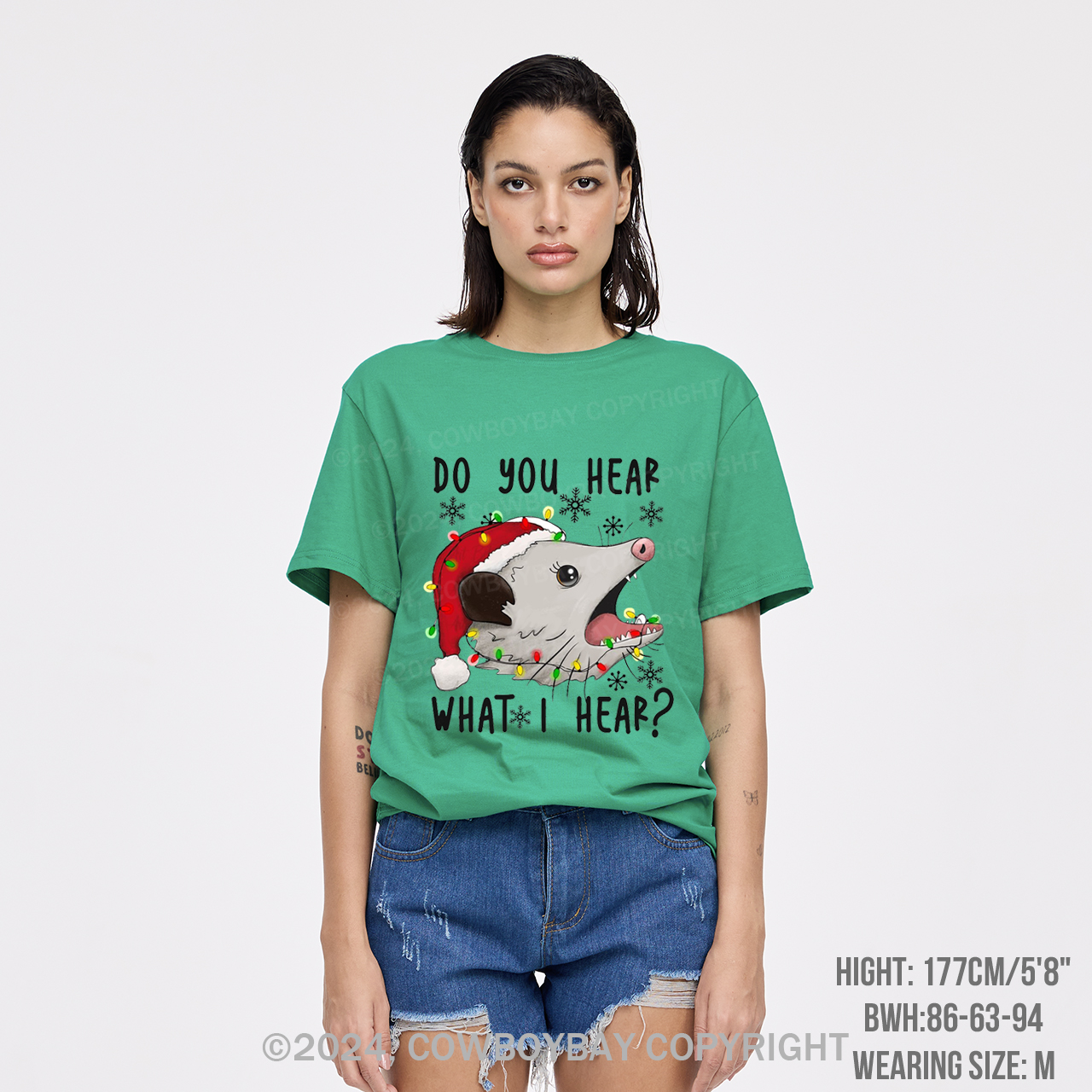 Do You Hear What I Hear T-Shirts