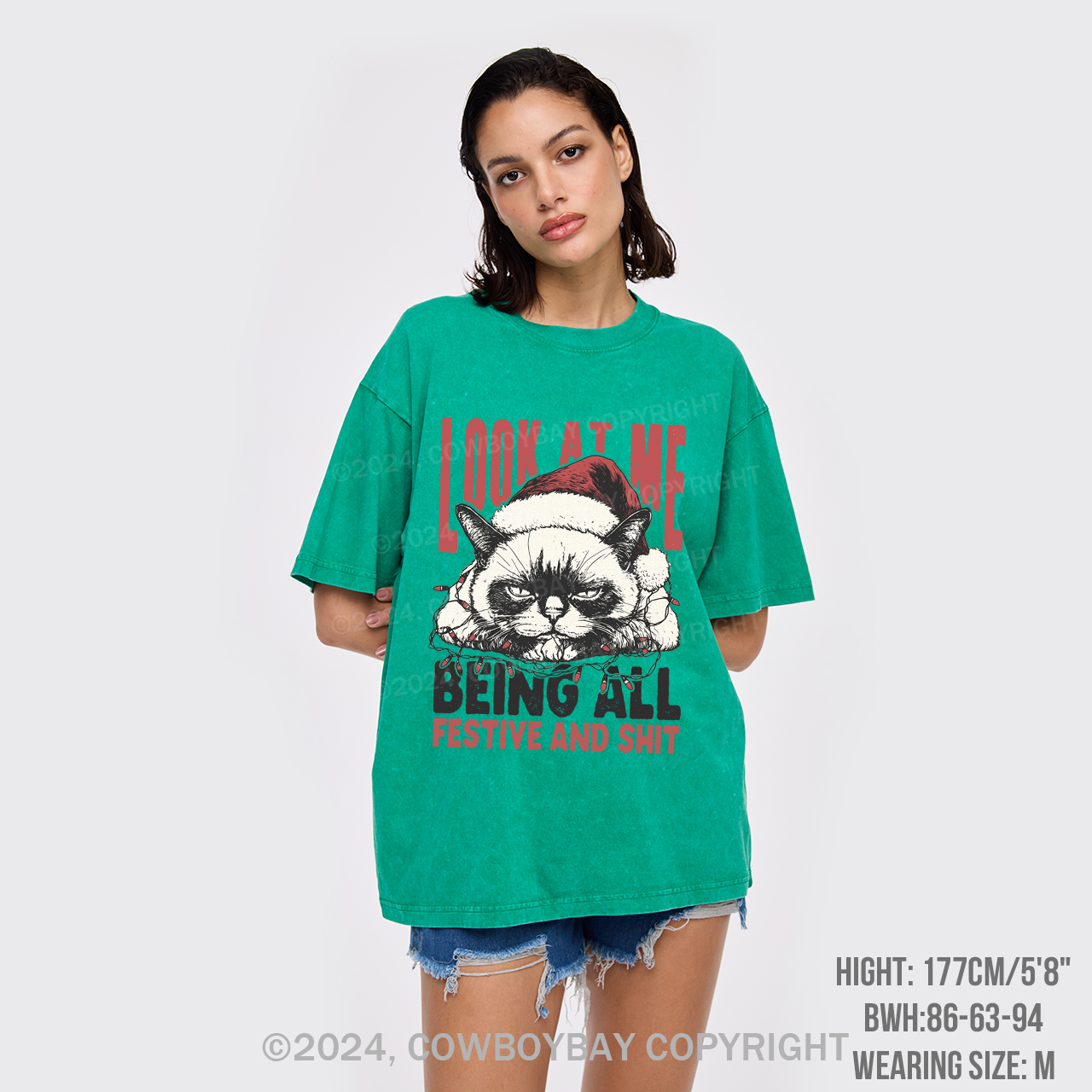 Funny Christmas Cat Garment-dye Tees