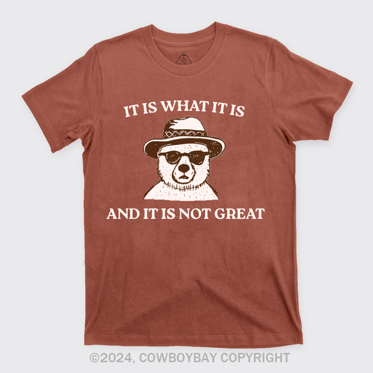 It Is What It Is And It Is Not Great T-Shirts