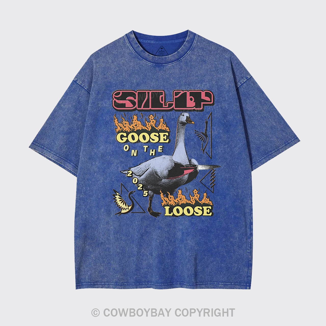 Silly Goose On The 2025 Loose Garment-dye Tees