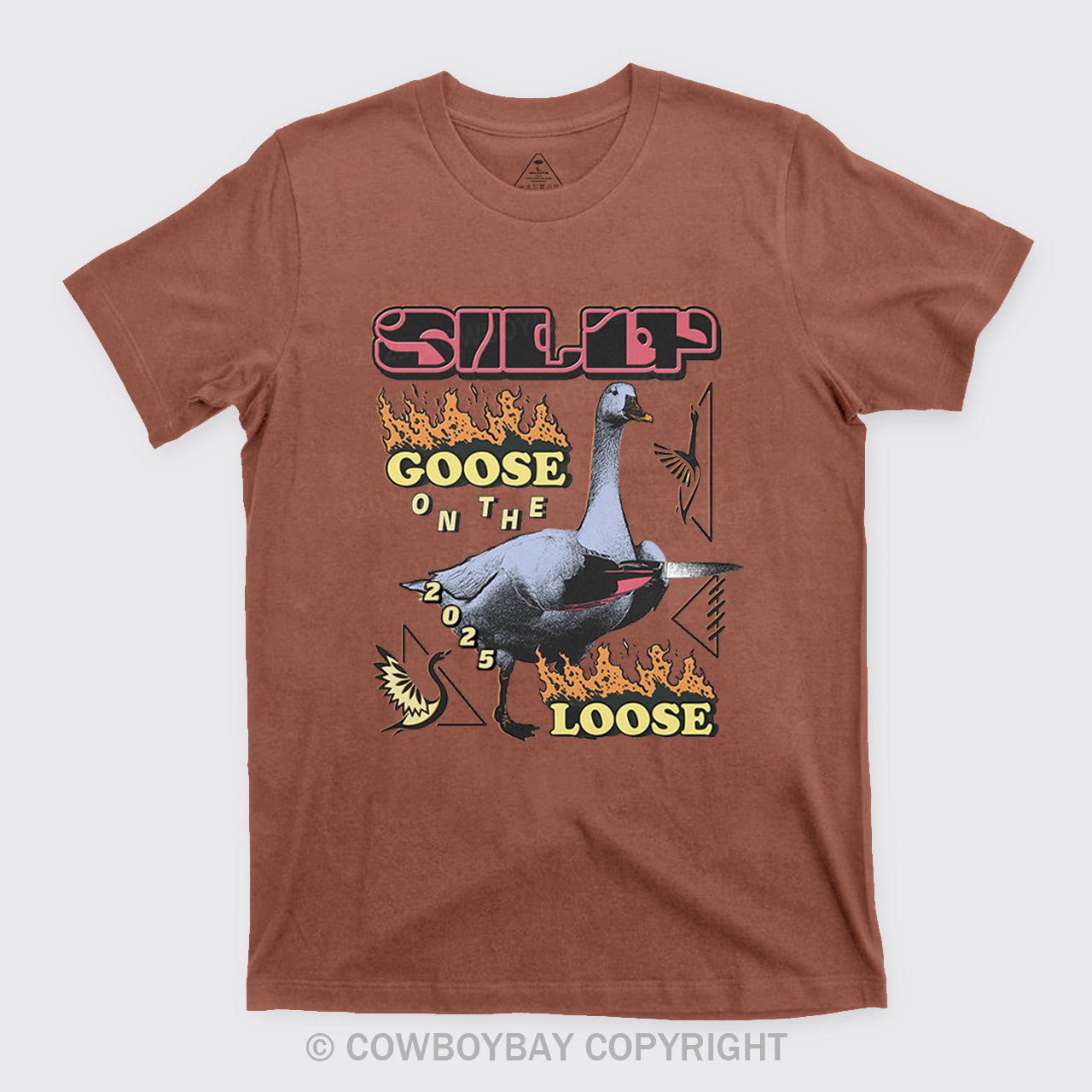 Silly Goose On The 2025 Loose T-Shirts