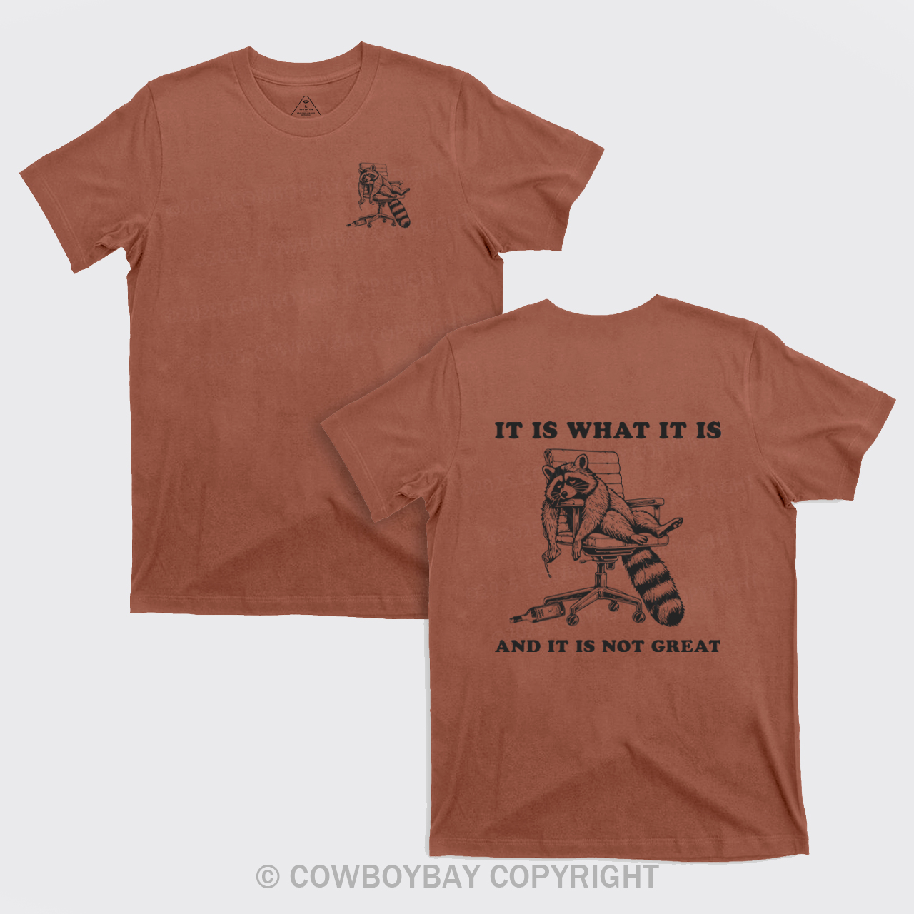 It Is What It Is And It Is Not Great T-Shirts