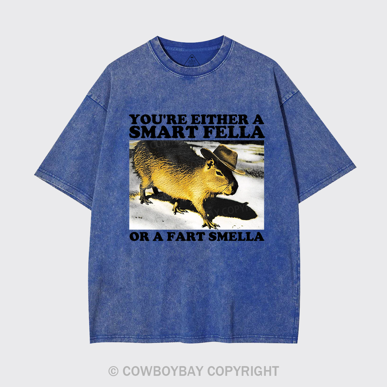 Retro Smart Fella Fart Smella Capybara 90s Garment-dye Tees