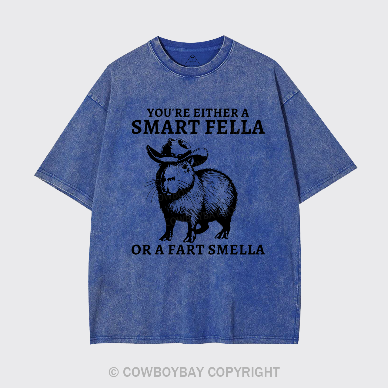 Retro Smart Fella Capybara 90s Garment-dye Tees