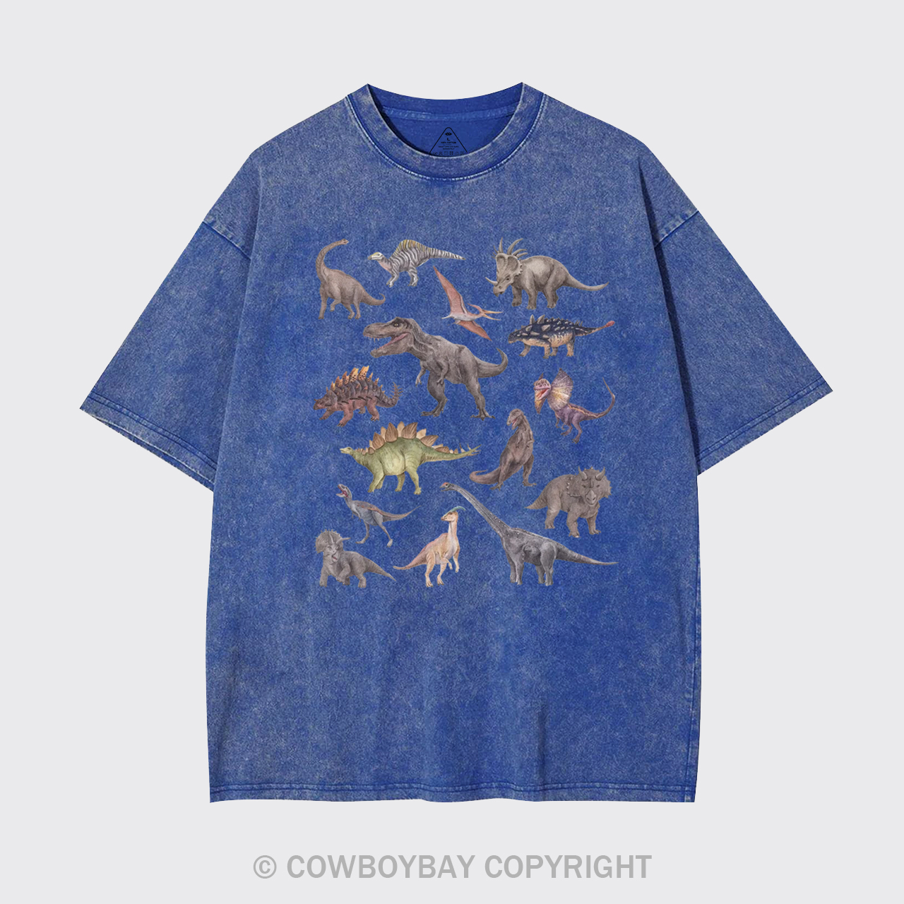 Dinosaur Garment-dye Tees