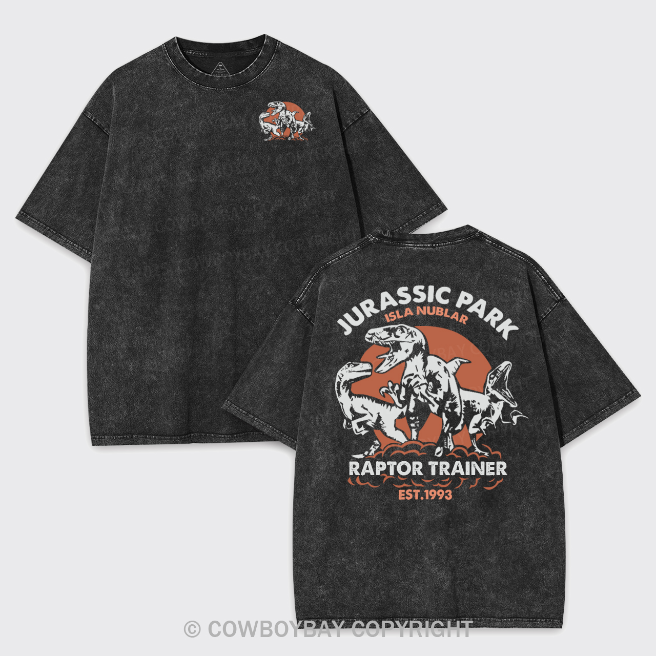 T-Rex Dinosaurs Retro Garment-dye Tees