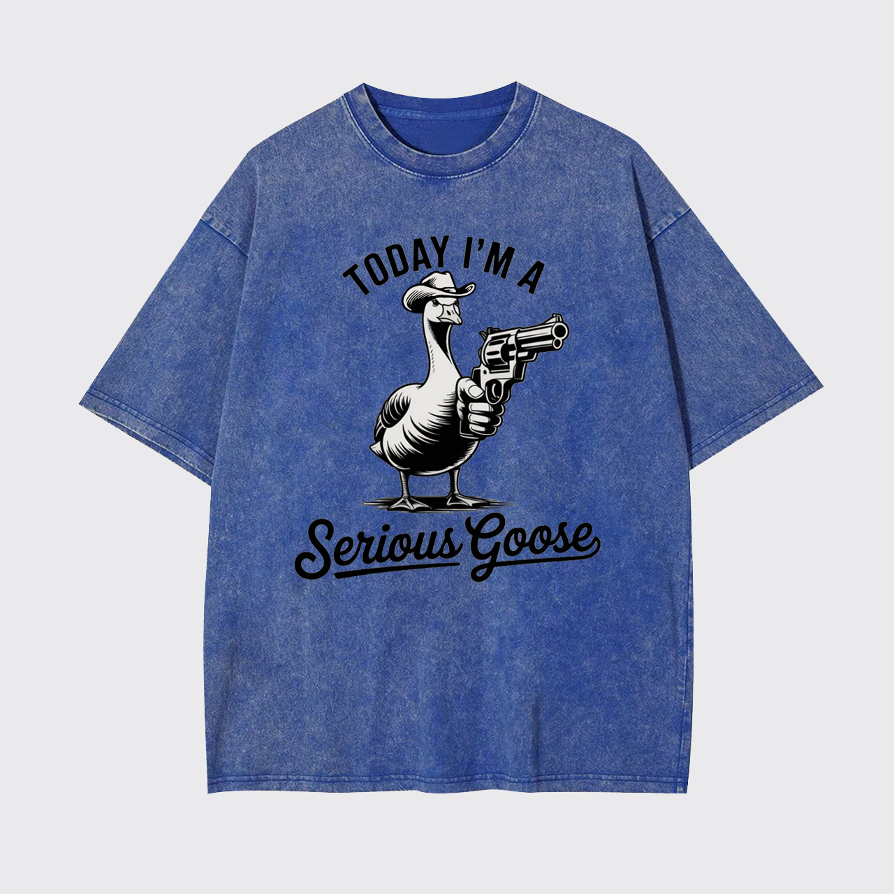 Today I'm a Serious Goose Funny Garment-dye Tees