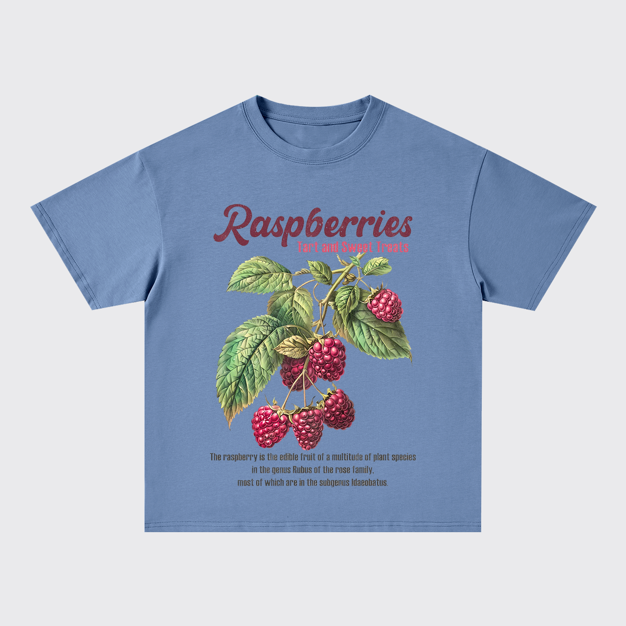 Retro Style-Fresh Raspberries Oversize T-Shirts